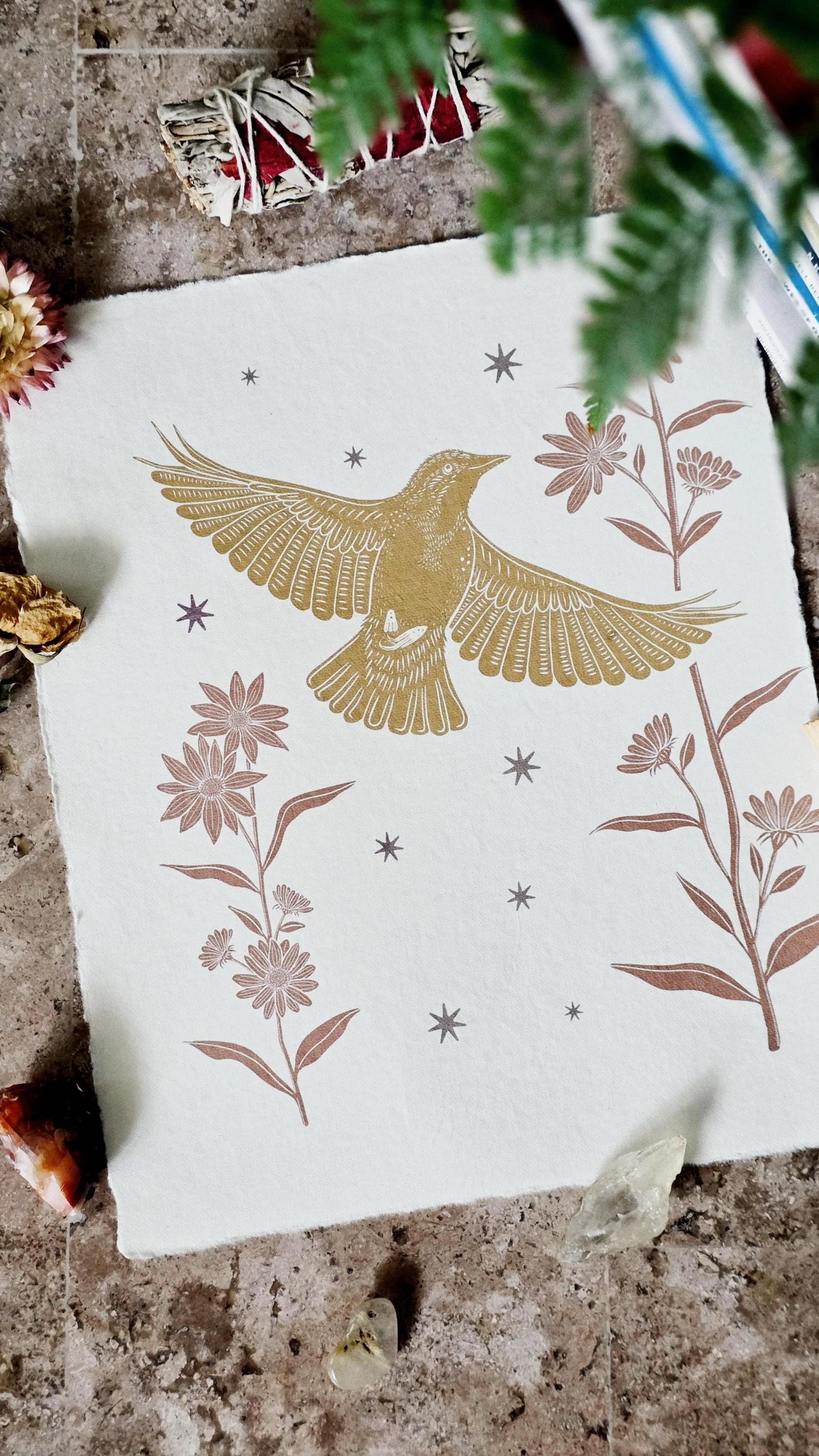 Goldfinch and Compass Flower | 8