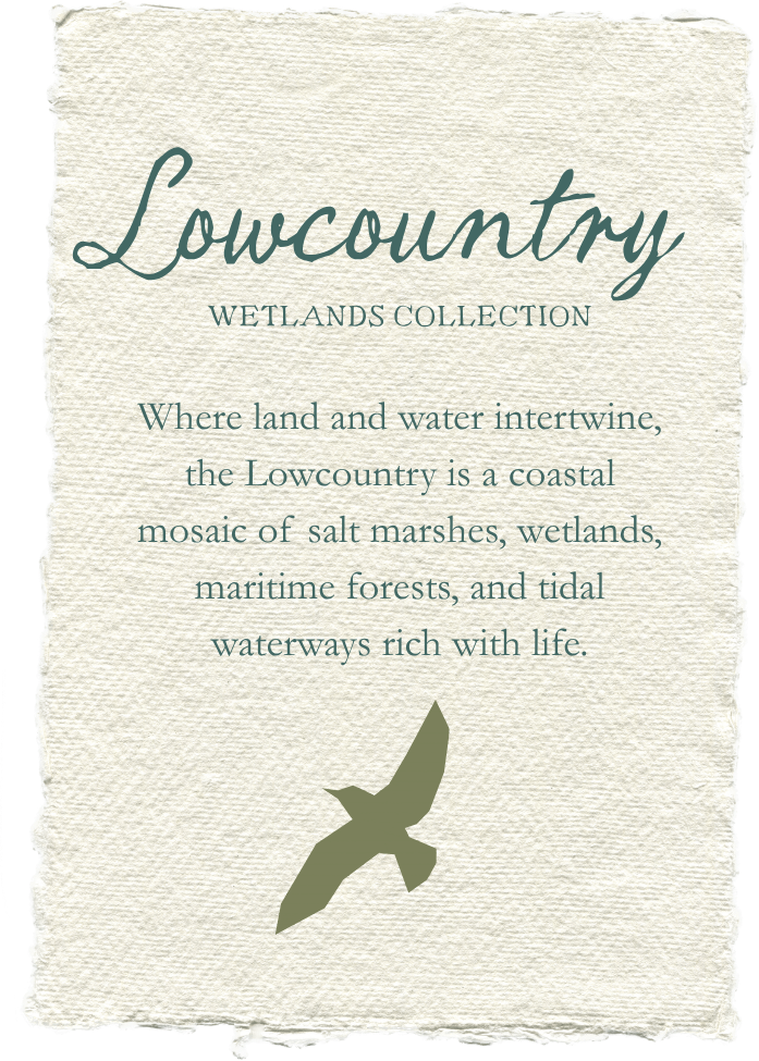 A textured paper sign with a handwritten style font that reads "Lowcountry Wetlands Collection" and a silhouette of a bird in flight at the bottom.