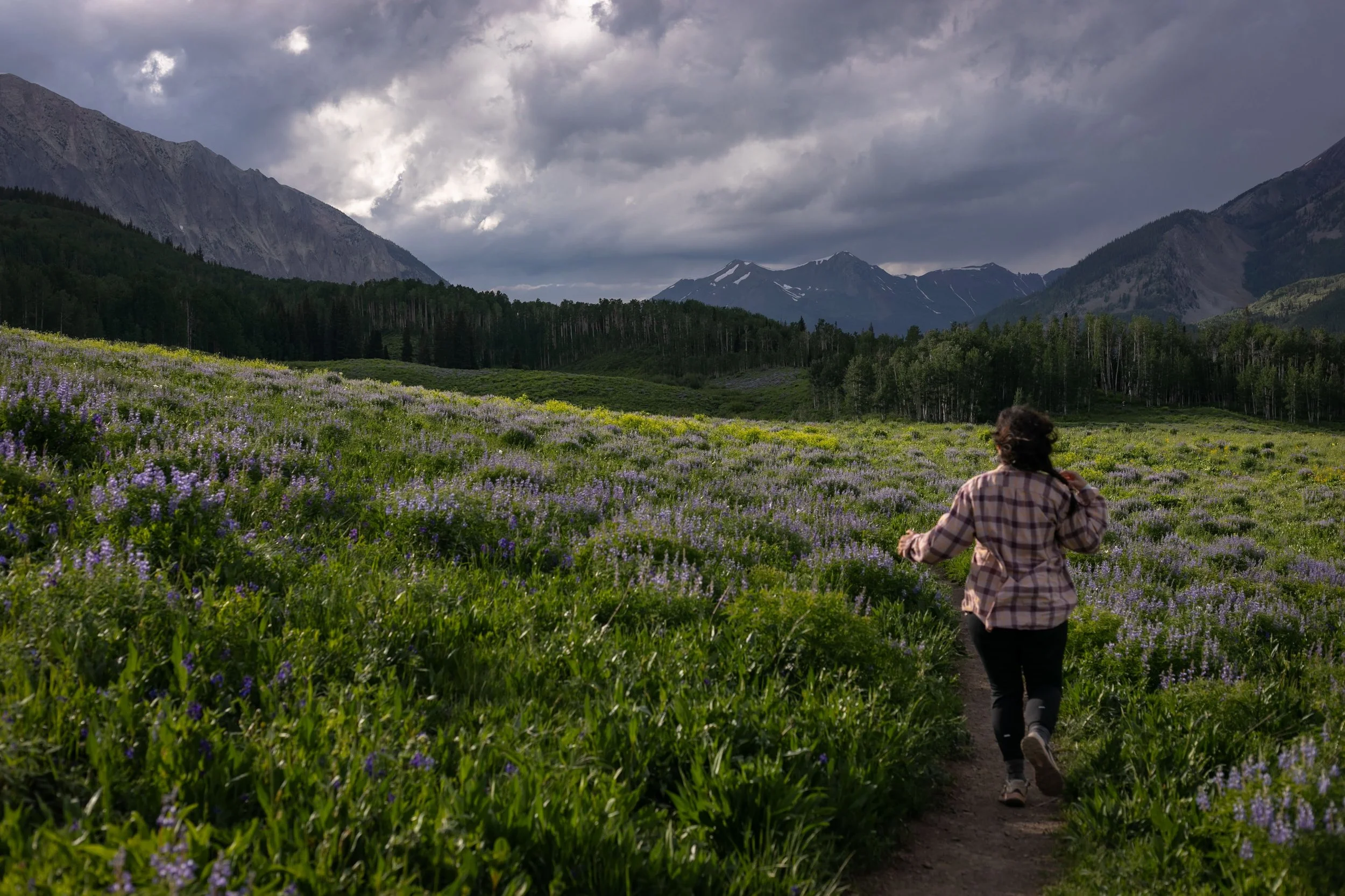 A person running through a field of purple and green flowers with mountains and cloudy sky in the background.