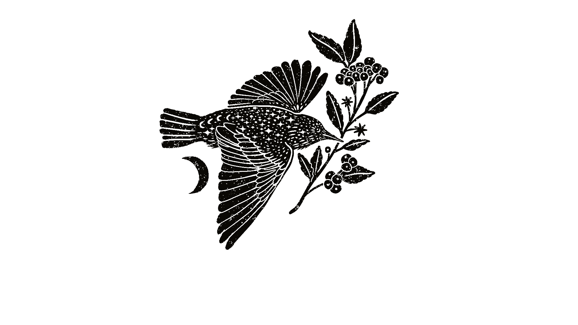 A black and white illustration of a bird perched on a branch with leaves and berries, a crescent moon, and stars in the background.