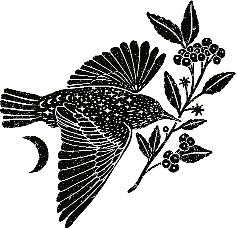 A detailed black and white illustration of a bird perched on a branch with leaves and berries, with a crescent moon in the background.