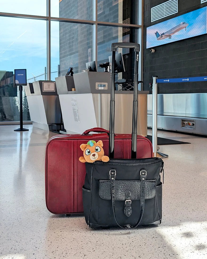 Suitcases are placed on the floor of the airport near the check-in desk.