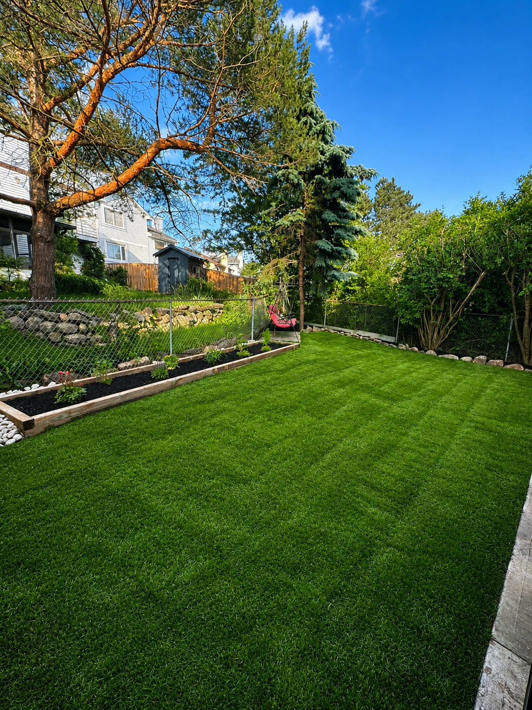 A lush, green backyard with freshly mowed grass, a fenced garden bed with young plants, a pink porch swing hanging from a tree, and various tall trees and bushes under a clear blue sky.