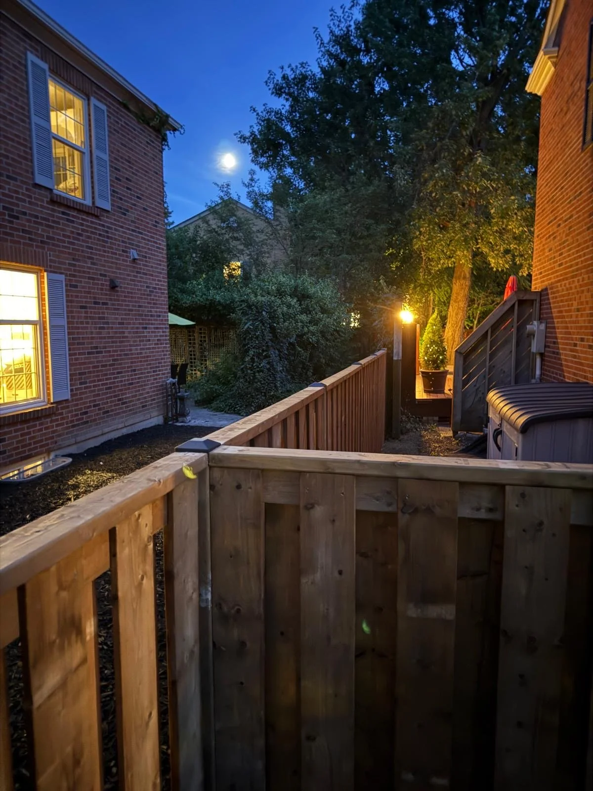 A backyard patio surrounded by a wooden fence, with a large tree, outdoor lighting, brick houses with lit windows, and a visible moon in the night sky.