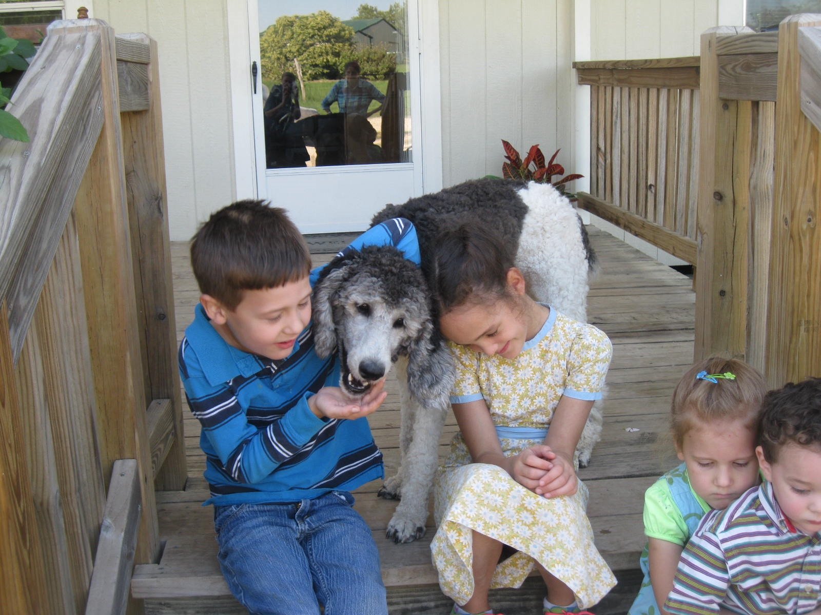 Children playing with a dog on a wooden porch outside a house.