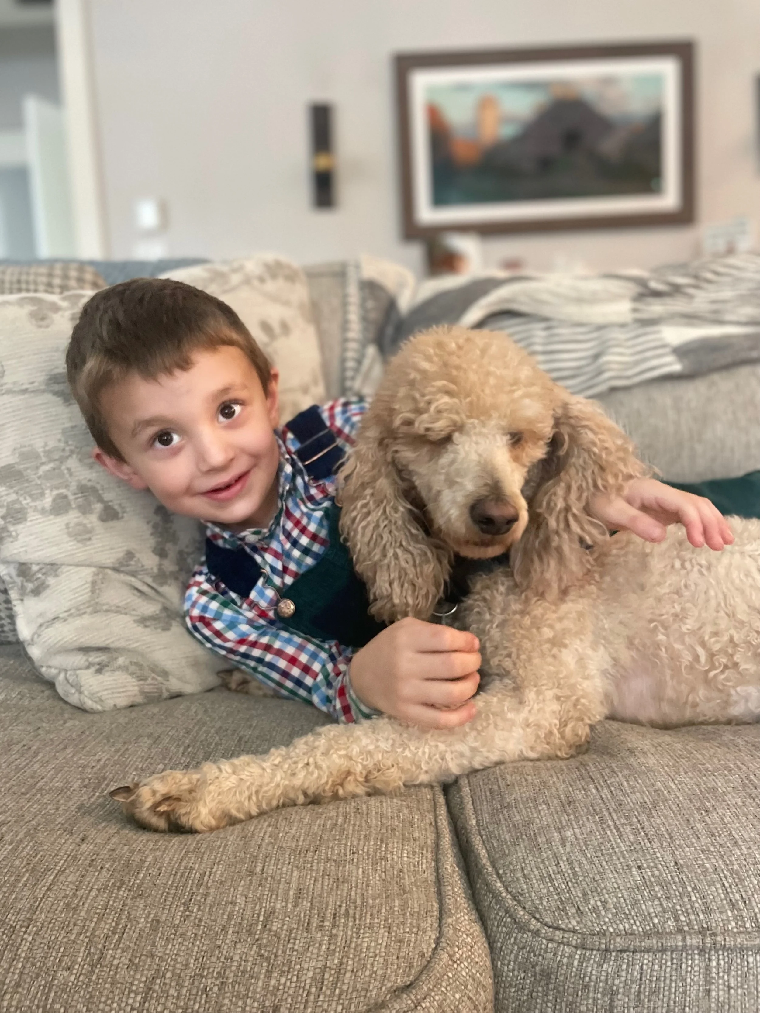 A young boy with brown hair and a plaid shirt smiling and lying on a gray couch, hugging a blond poodle with curly fur.