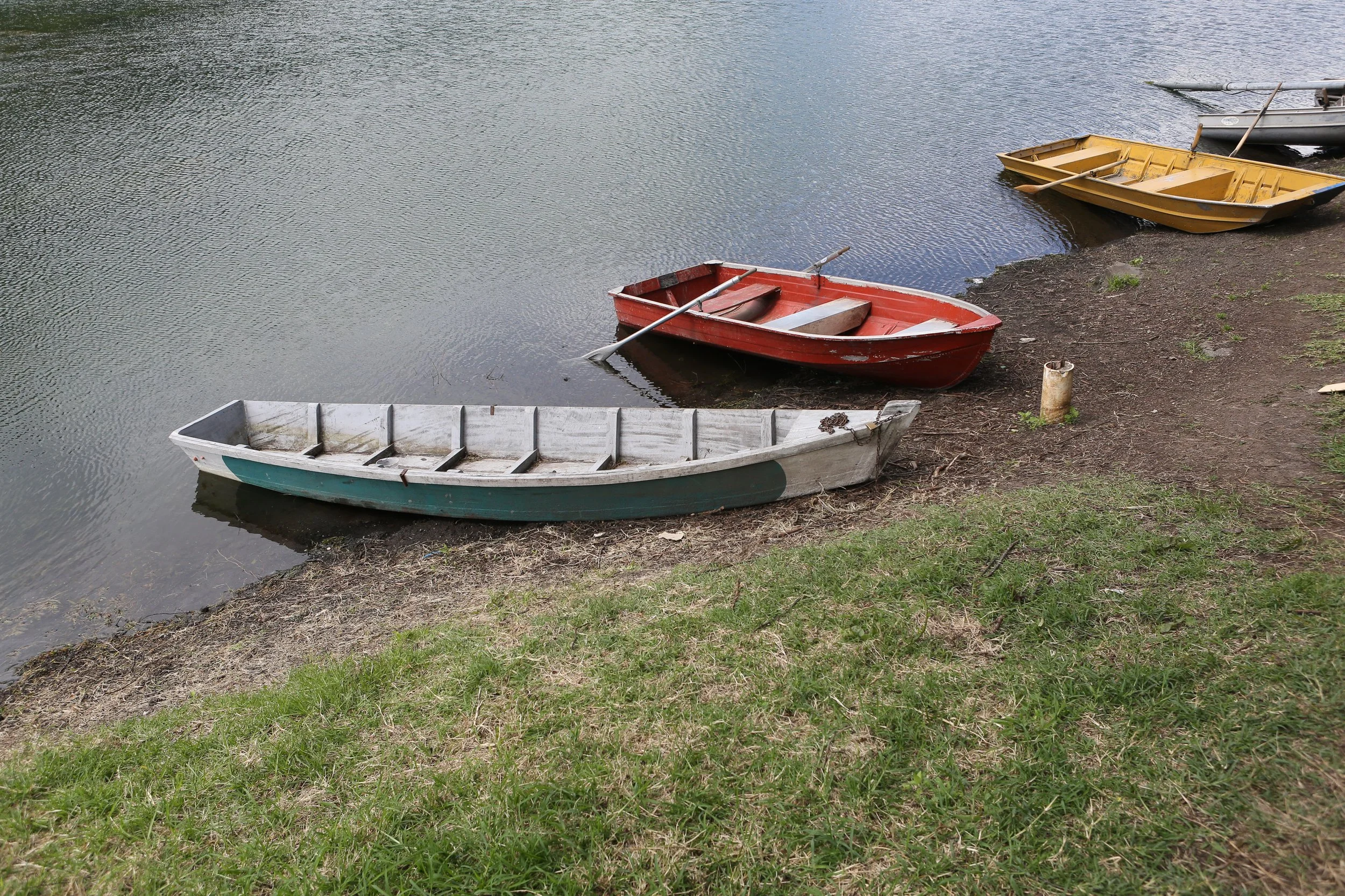 389A8138.jpg