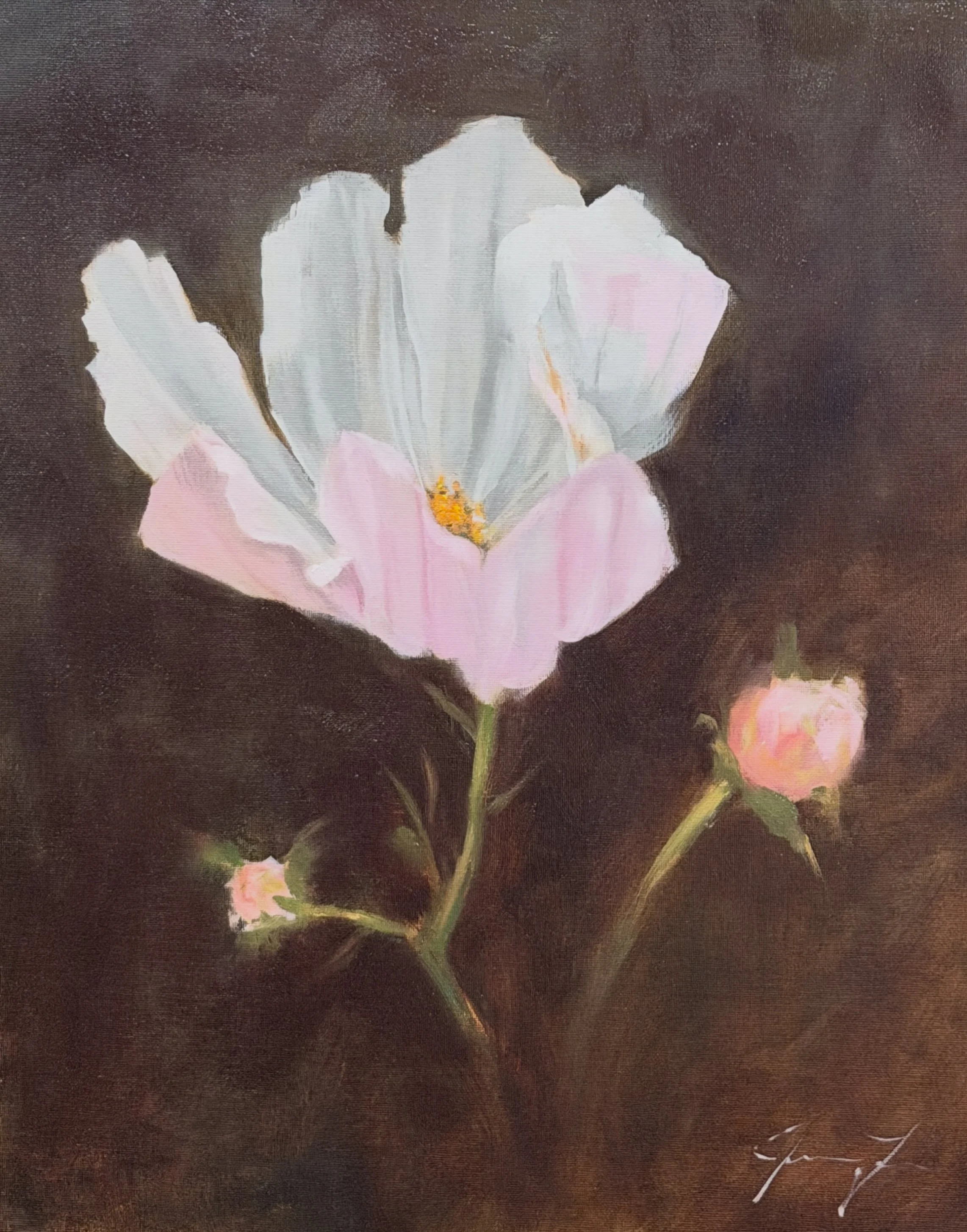 Cosmos 16X20 Oil on Panel