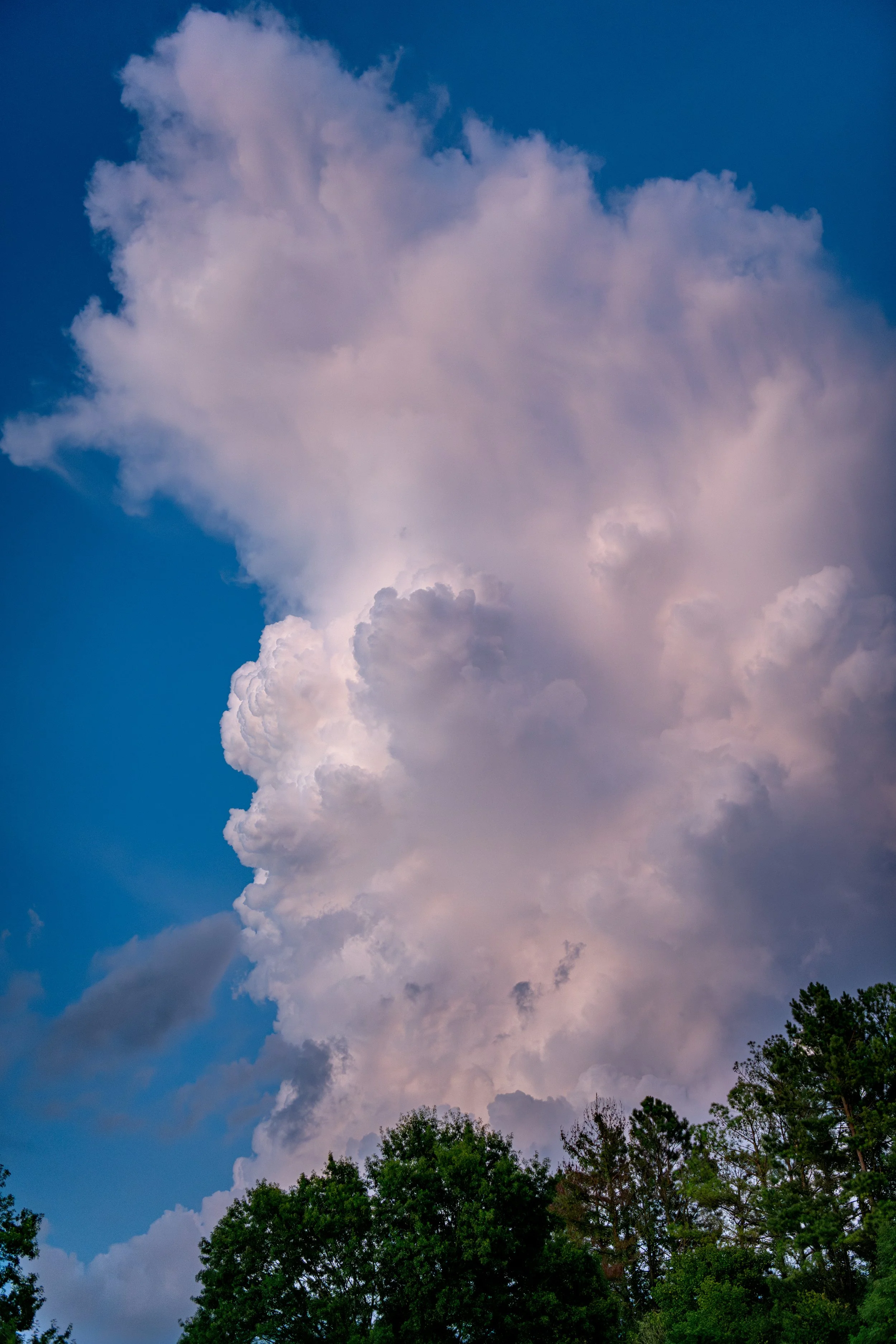 20260813-850_3192.jpg