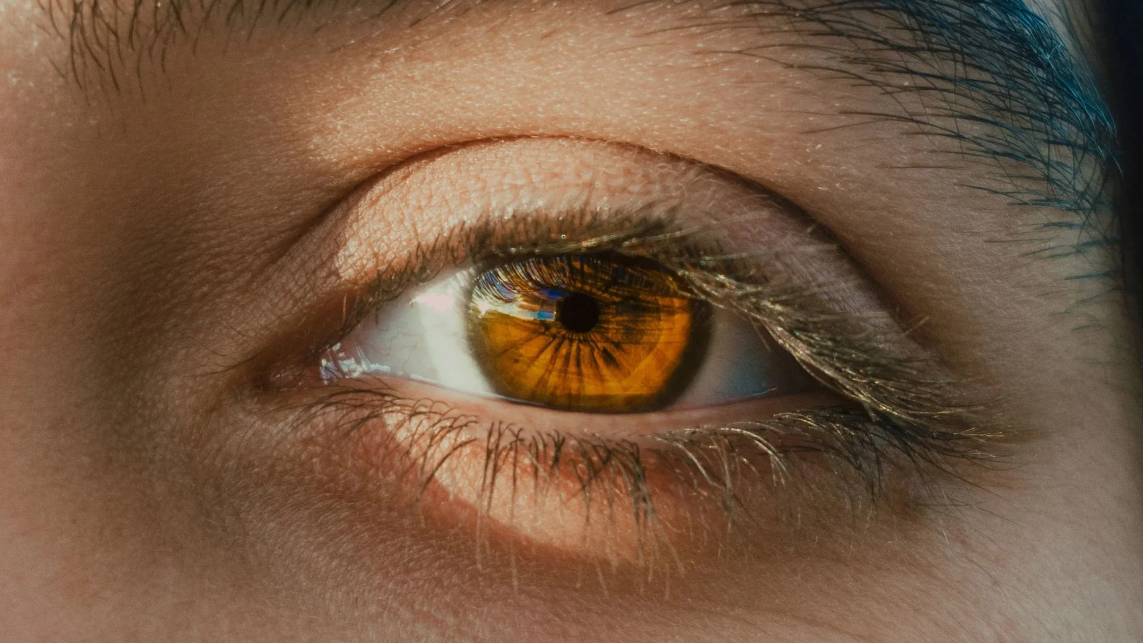 EMDR vs. Talk Therapy: How to Tell Which One Fits