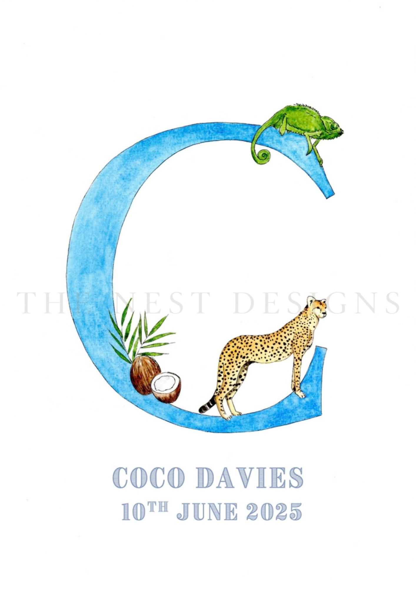 Illustration of a blue letter C with a chameleon on top, a cheetah at the bottom, and coconuts with coconut leaves near the bottom.