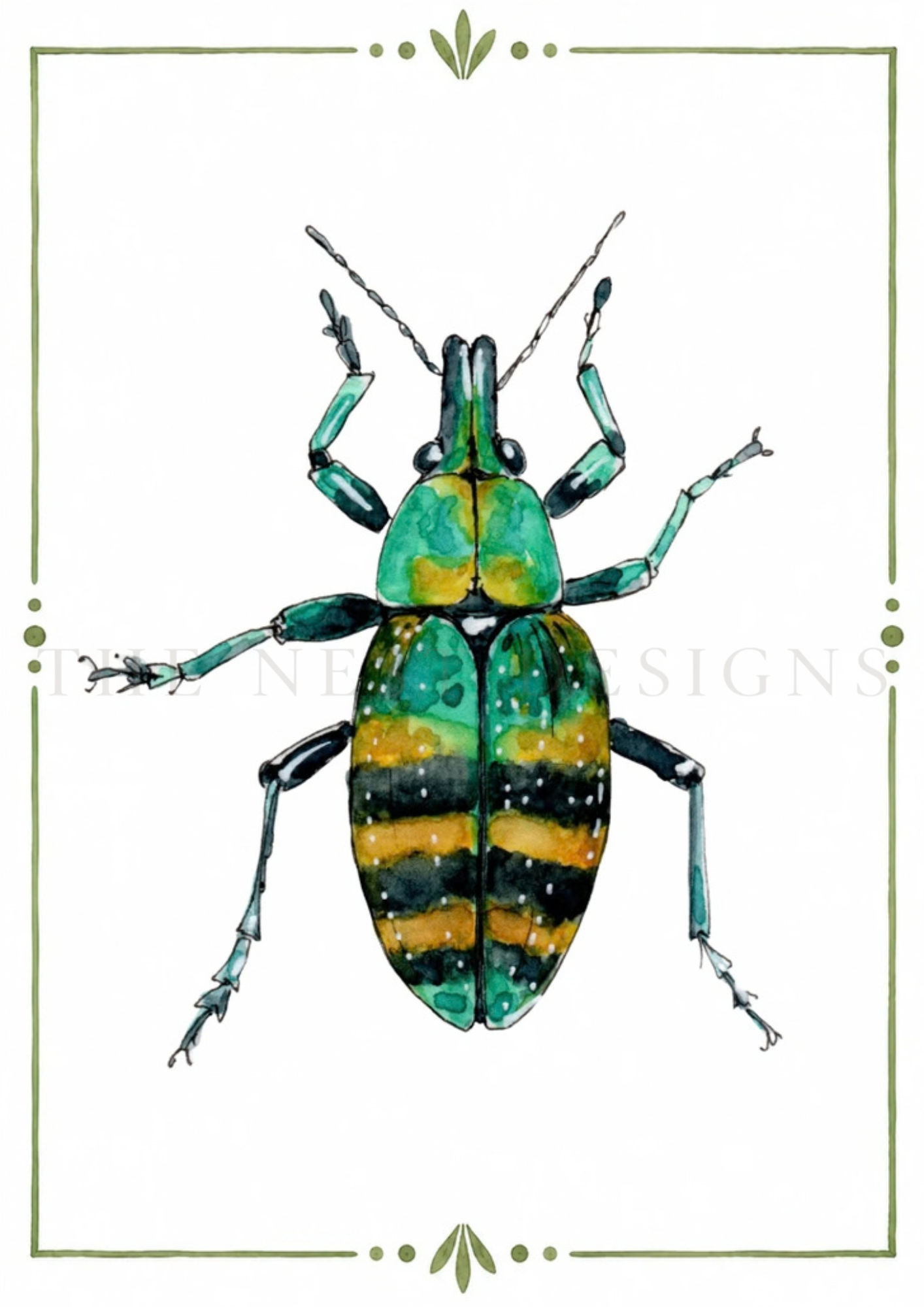 Watercolor illustration of a beetle with green, yellow, and black markings, framed by a green decorative border.