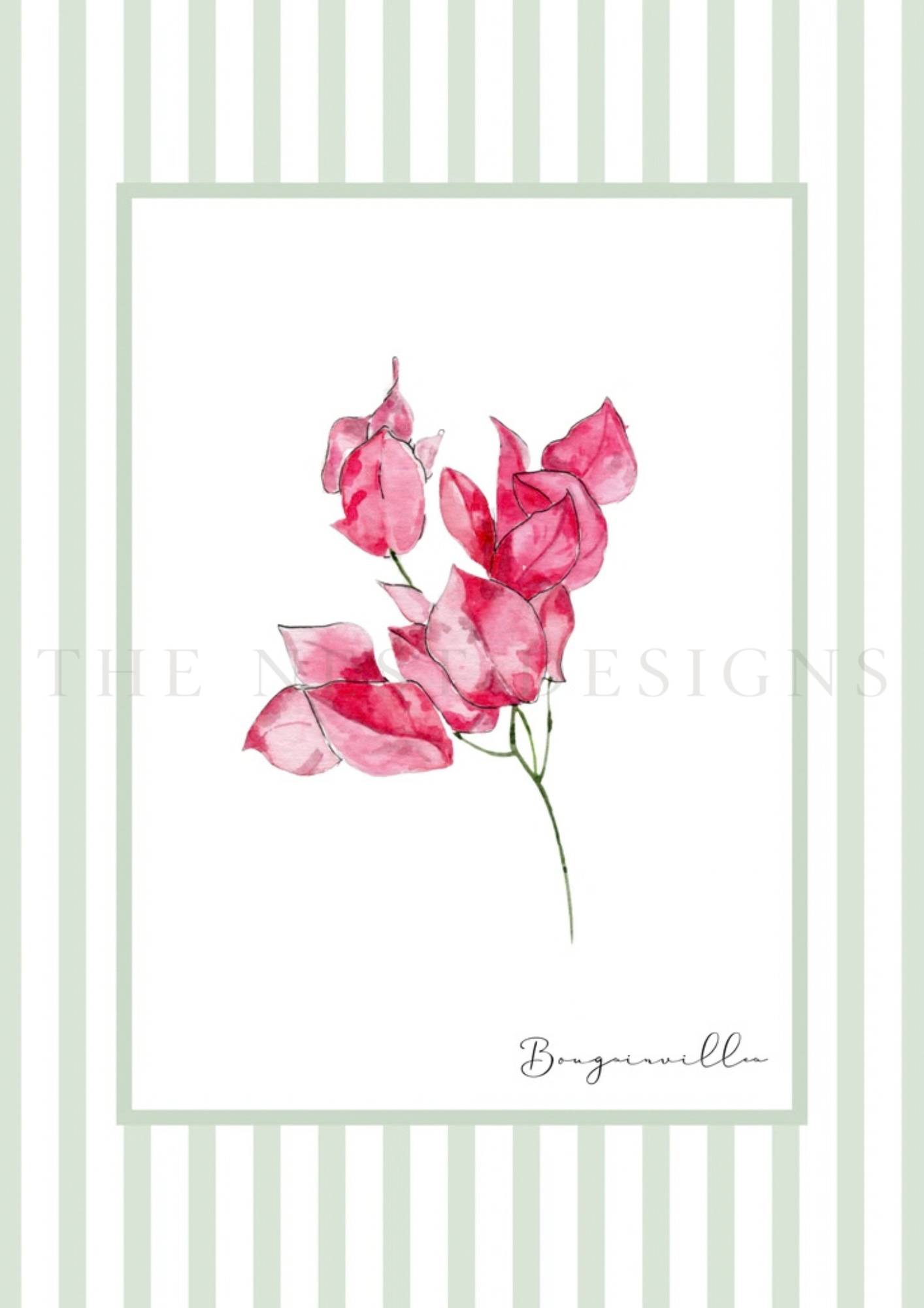 Watercolor illustration of a pink bougainvillea flower by the window with green and white striped background.