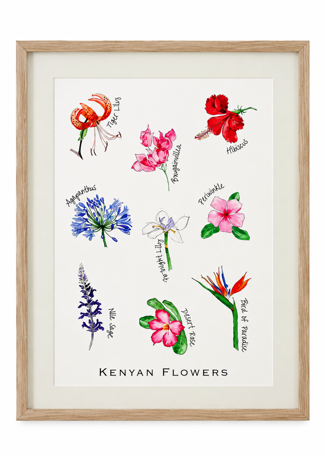 Illustration of various Kenyan flowers, including Tiger Lily, Hibiscus, Bougainvillea, Periwinkle, Agapanthus, White Sage, Desert Rose, and Bird of Paradise, with labels.