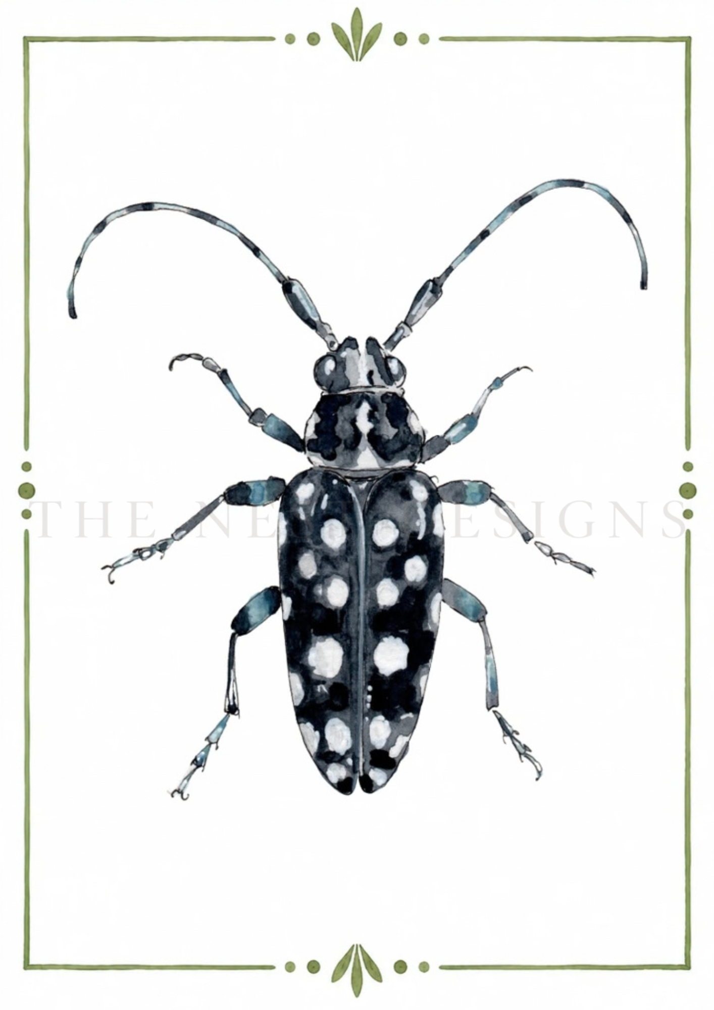 Illustration of a black and white spotted beetle with elongated antennae on a white background, framed with a green decorative border.