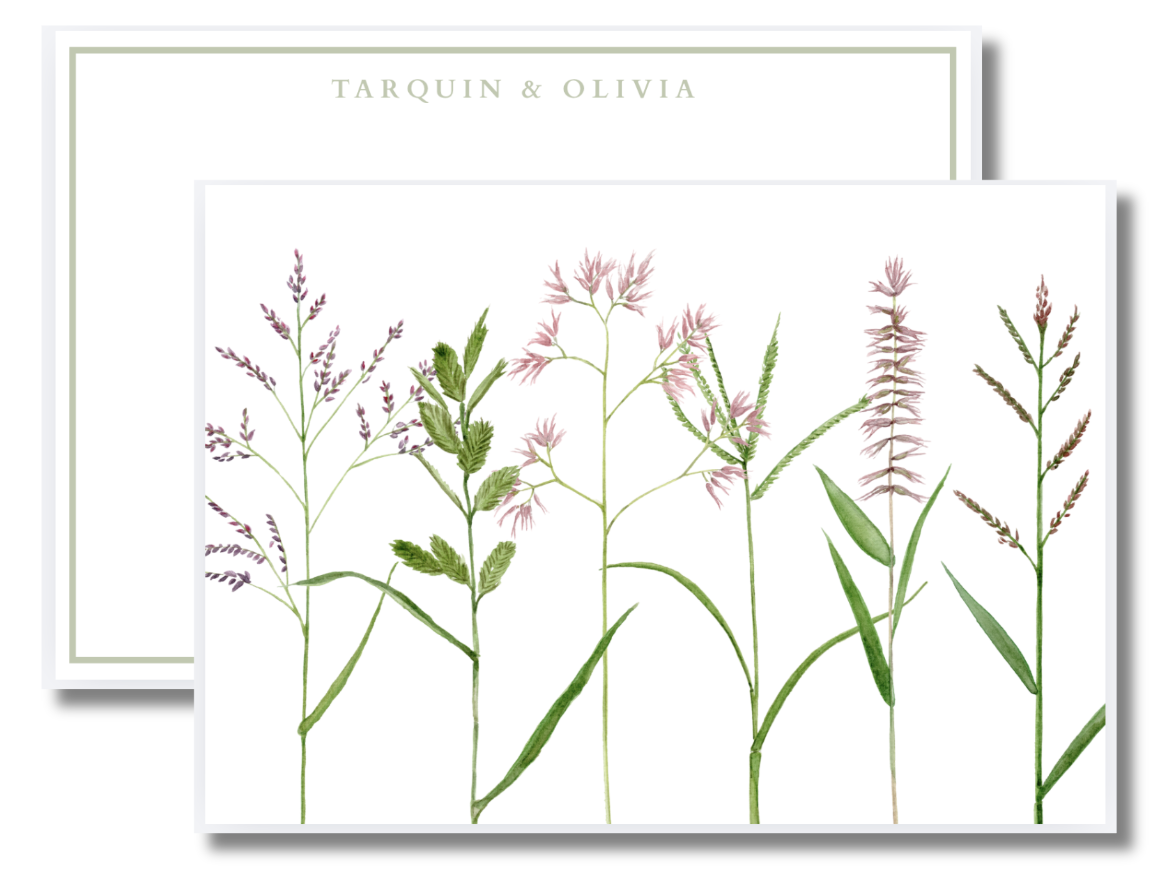 Botanical illustration of various wildflowers and grasses with pink and purple flowers, green leaves, and stems.