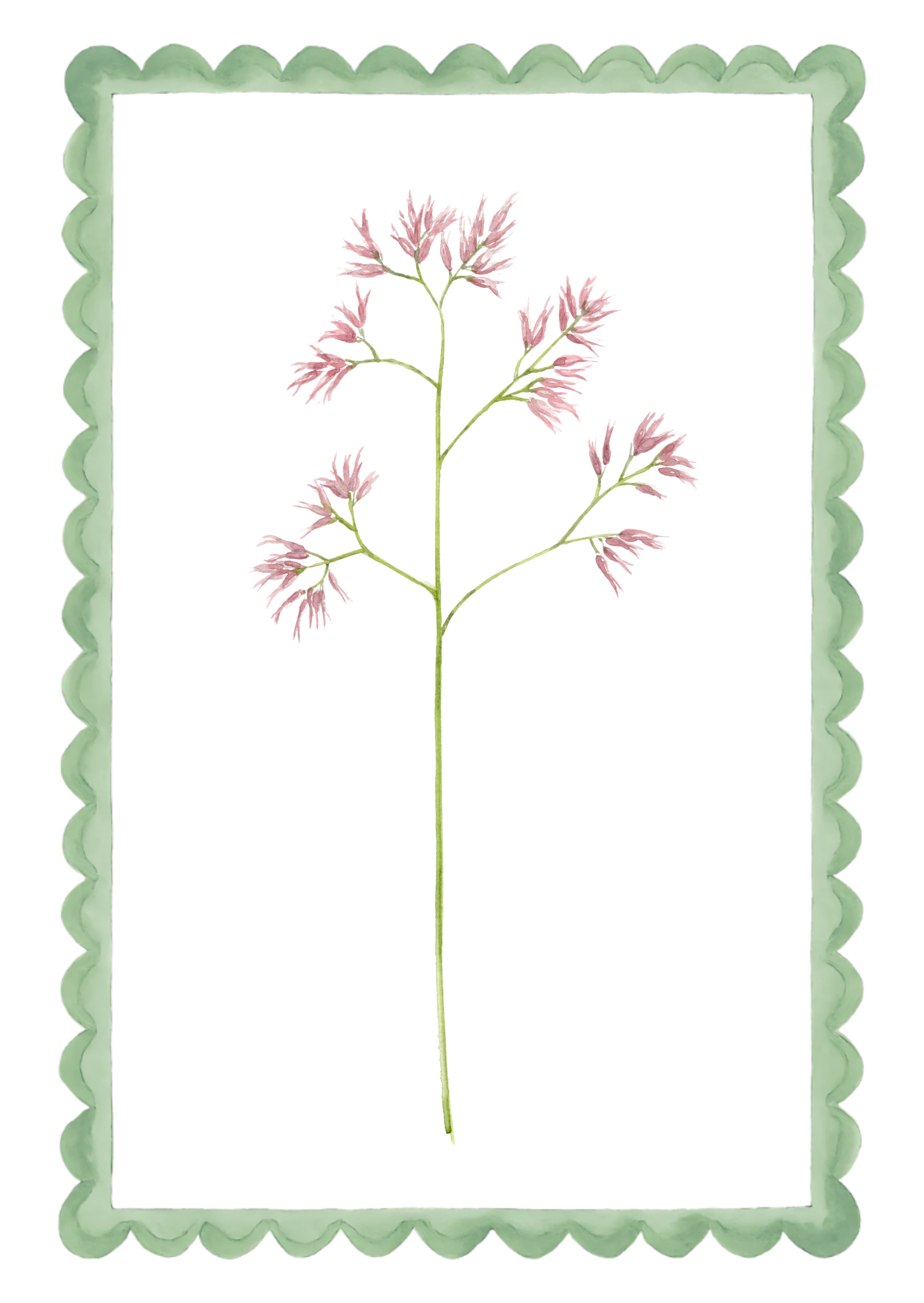 Watercolor illustration of a pinkish flower with multiple small blossoms on green stems, framed by a scalloped light green border.
