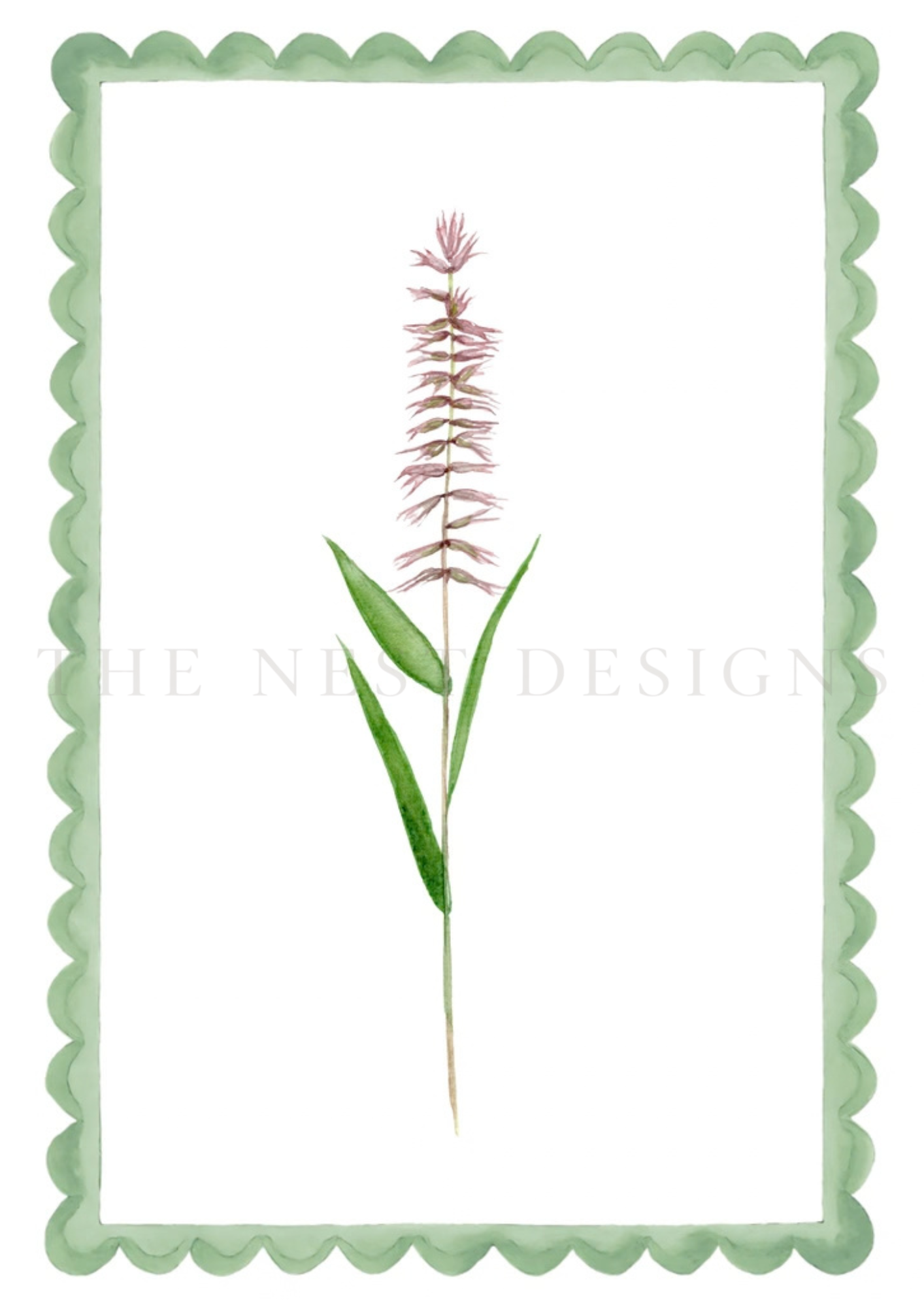 Watercolor illustration of a single pinkish-red grass flower with green leaves in the center of a white background, bordered by a green scalloped frame.