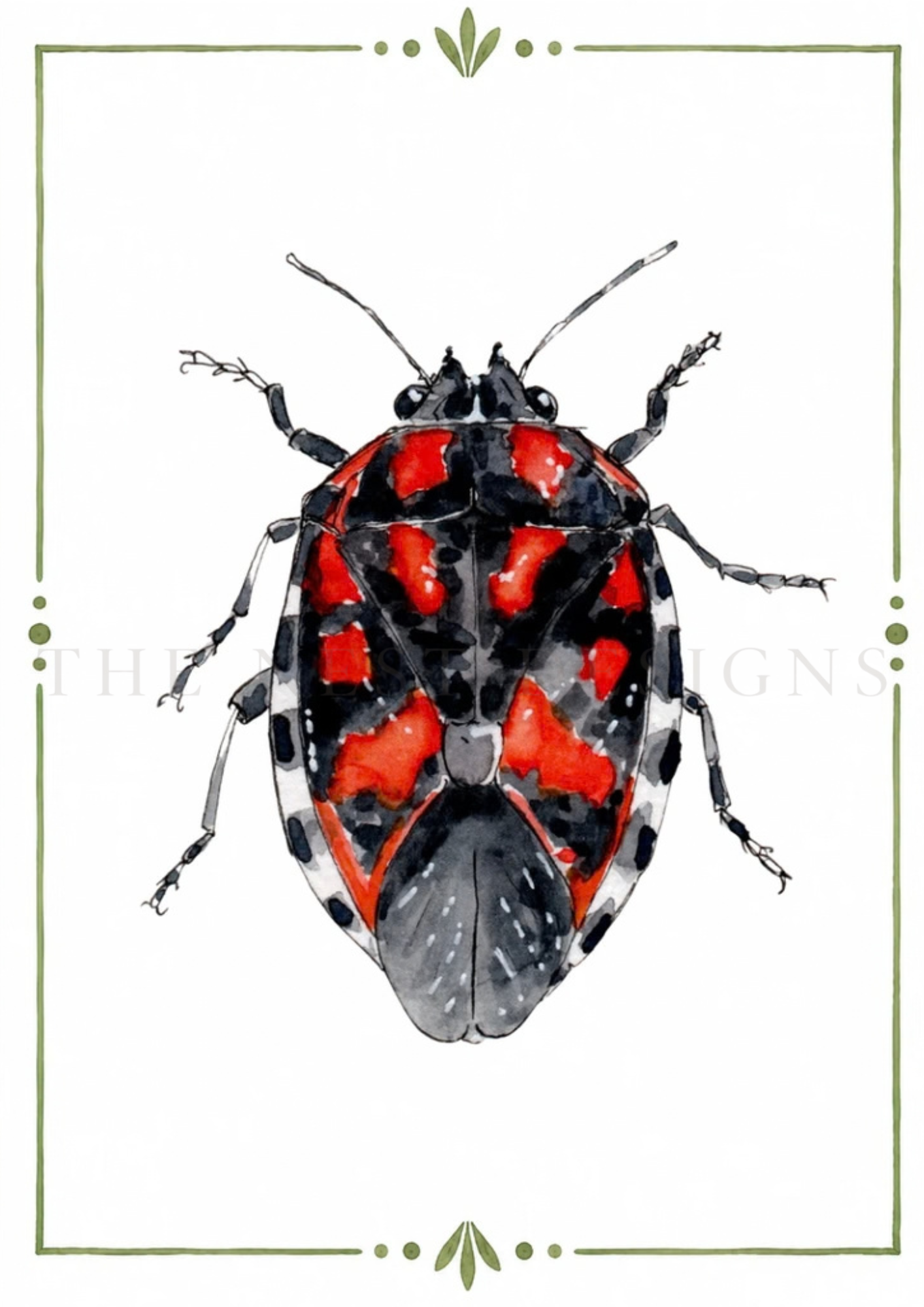 A detailed illustration of a insect resembling a beetle, with black and red markings on its shell, and long antennae, set against a plain white background framed with a green decorative border.