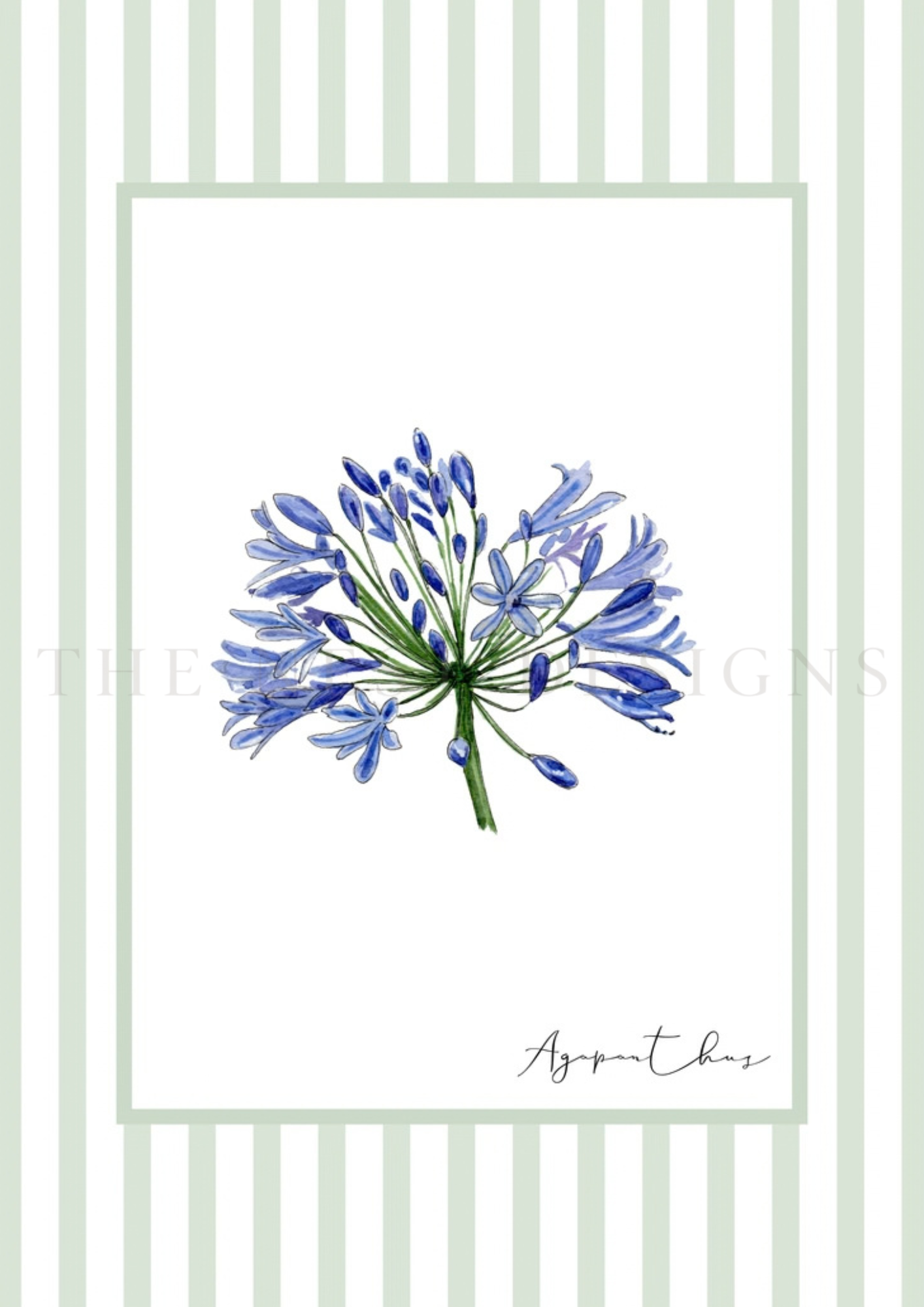 A card with a blue Agapanthus flower illustration in the center, green striped border, and handwritten-style text reading "Agapanthus" at the bottom.