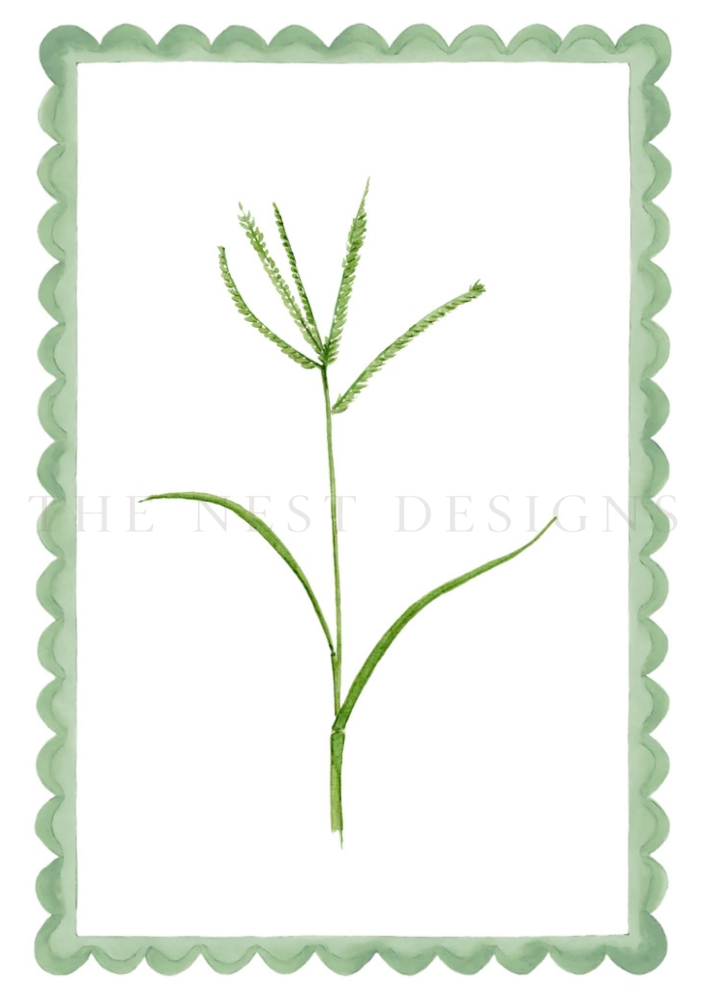 Watercolor illustration of a green, leafy plant with multiple slender, pointed leaves.