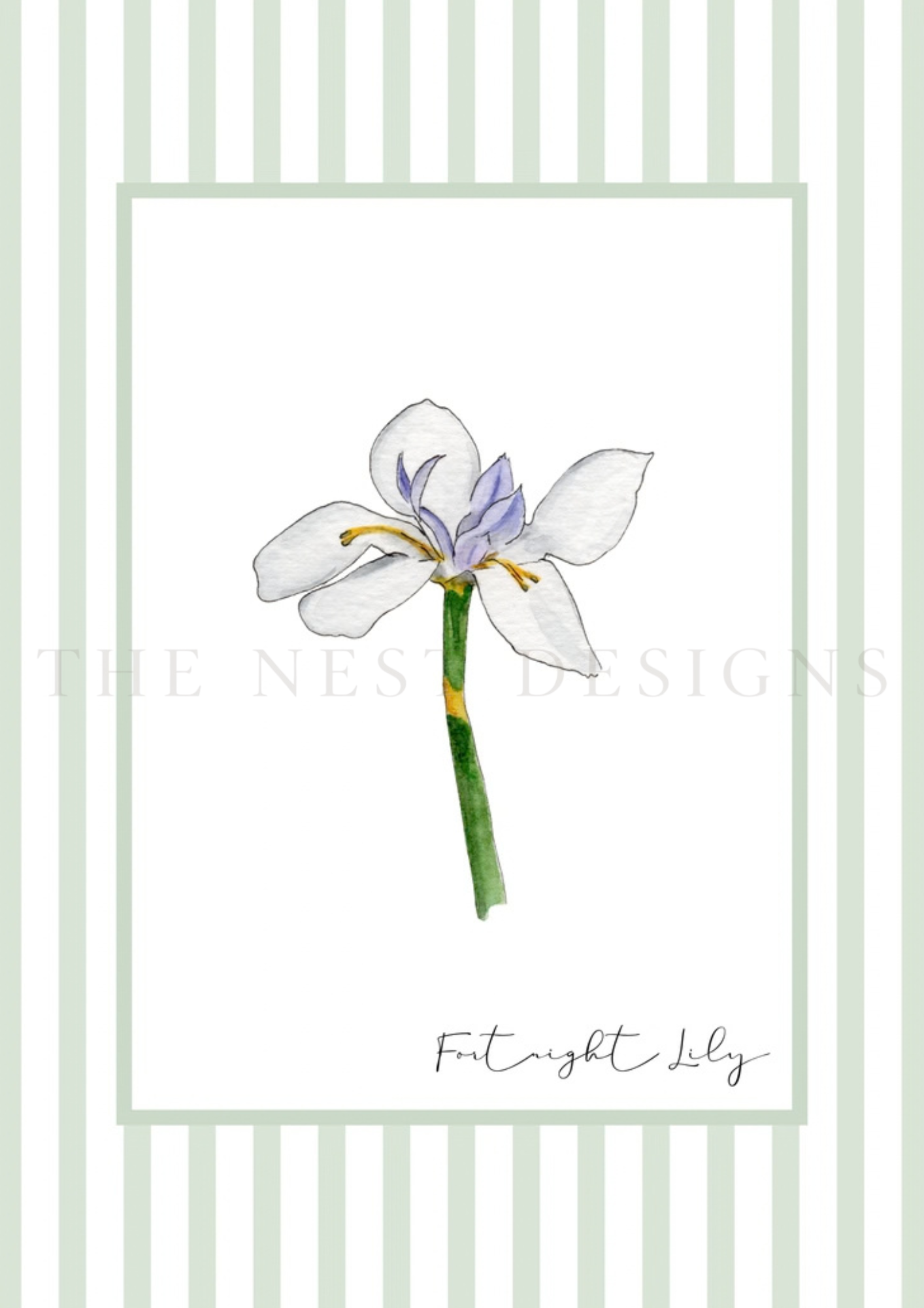 A watercolor illustration of a white lily flower with purple accents and yellow stamens, attached to a green stem, with light green striped background and text reading 'Fort right Lily'.