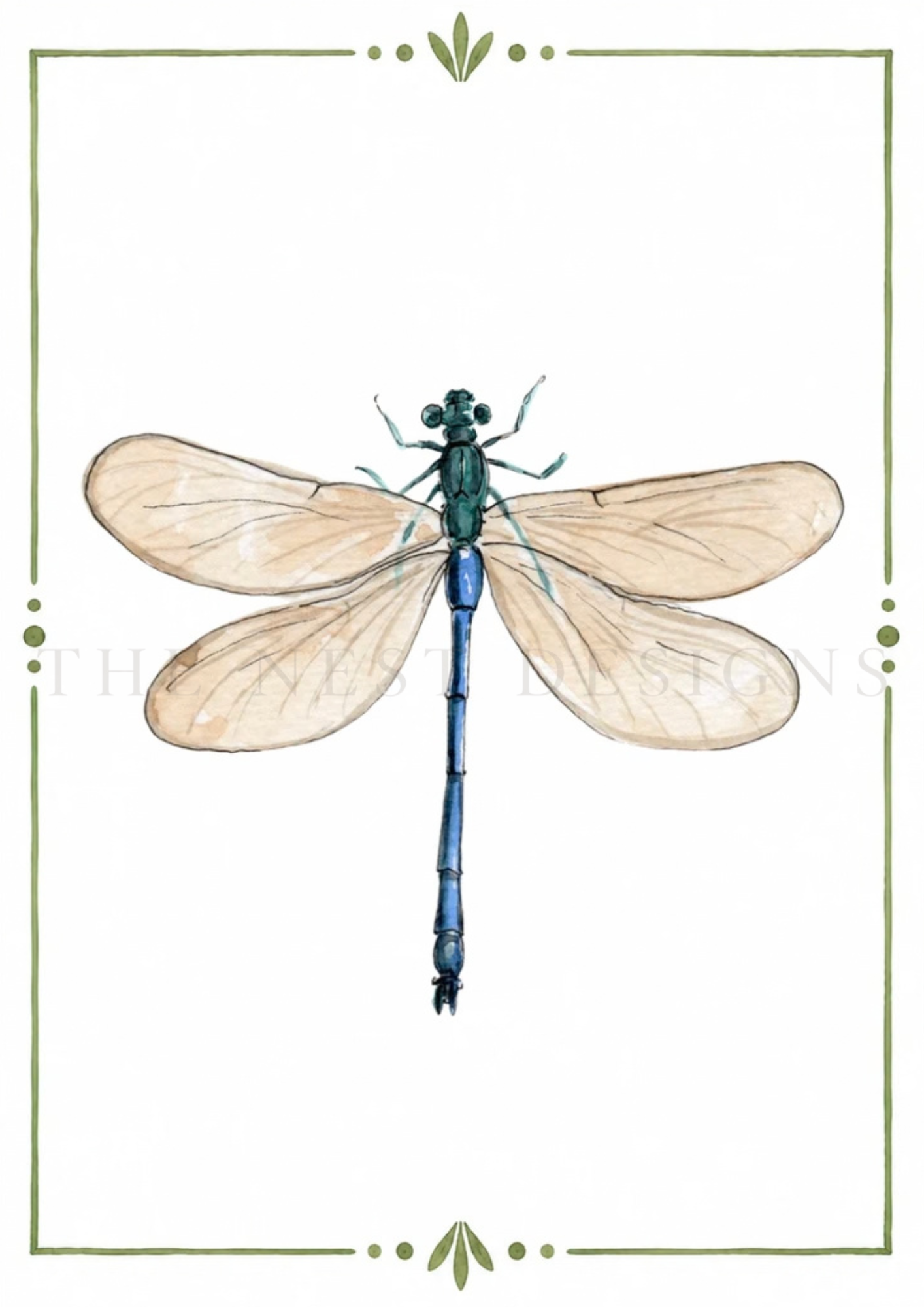 Illustration of a dragonfly with beige wings and a blue body, framed with green decorative borders.