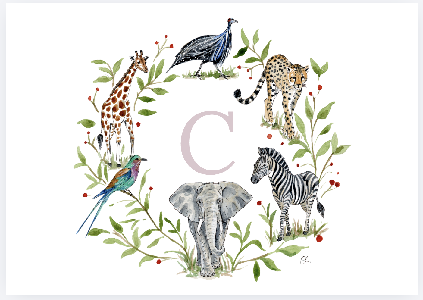 Watercolor illustration of various animals including a giraffe, pheasant, cheetah, zebra, elephant, and a colorful bird, arranged in a circle with green leaves and red berries surrounding a large letter 'C' in the center.