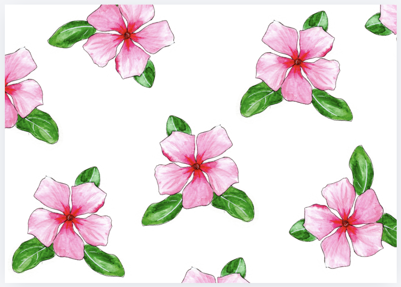 Pattern of pink flowers with green leaves on a white background.
