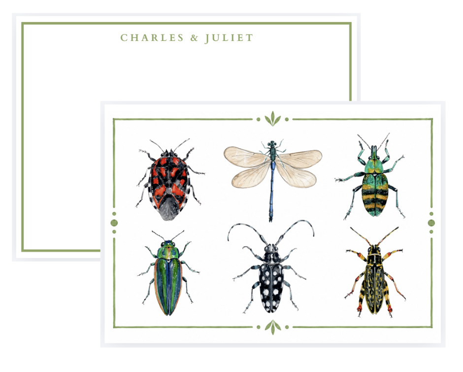 Illustration of six different colorful insects and a dragonfly on a white background with green decorative borders.