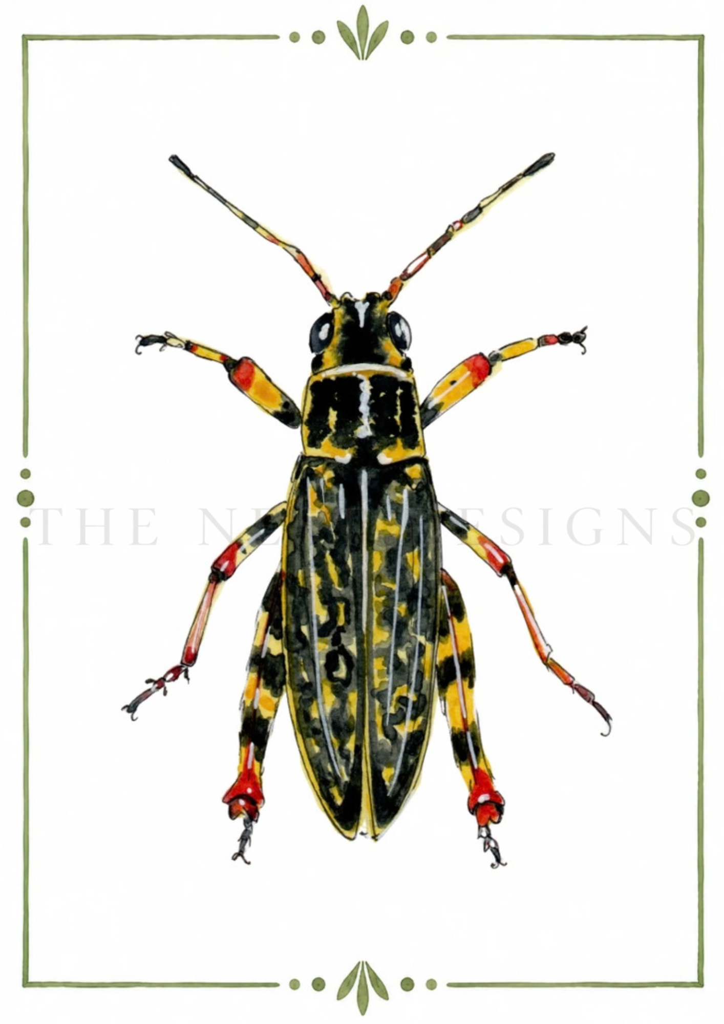 Illustration of a beetle with black and yellow markings, red leg tips, and long antennae, framed by a green decorative border.
