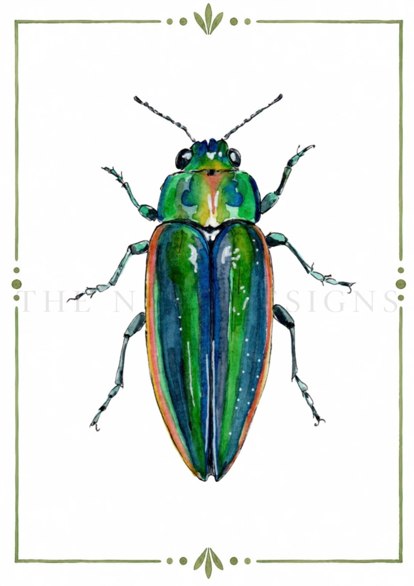 Watercolor illustration of a colorful beetle with green, blue, yellow, and red hues, framed by a green decorative border.