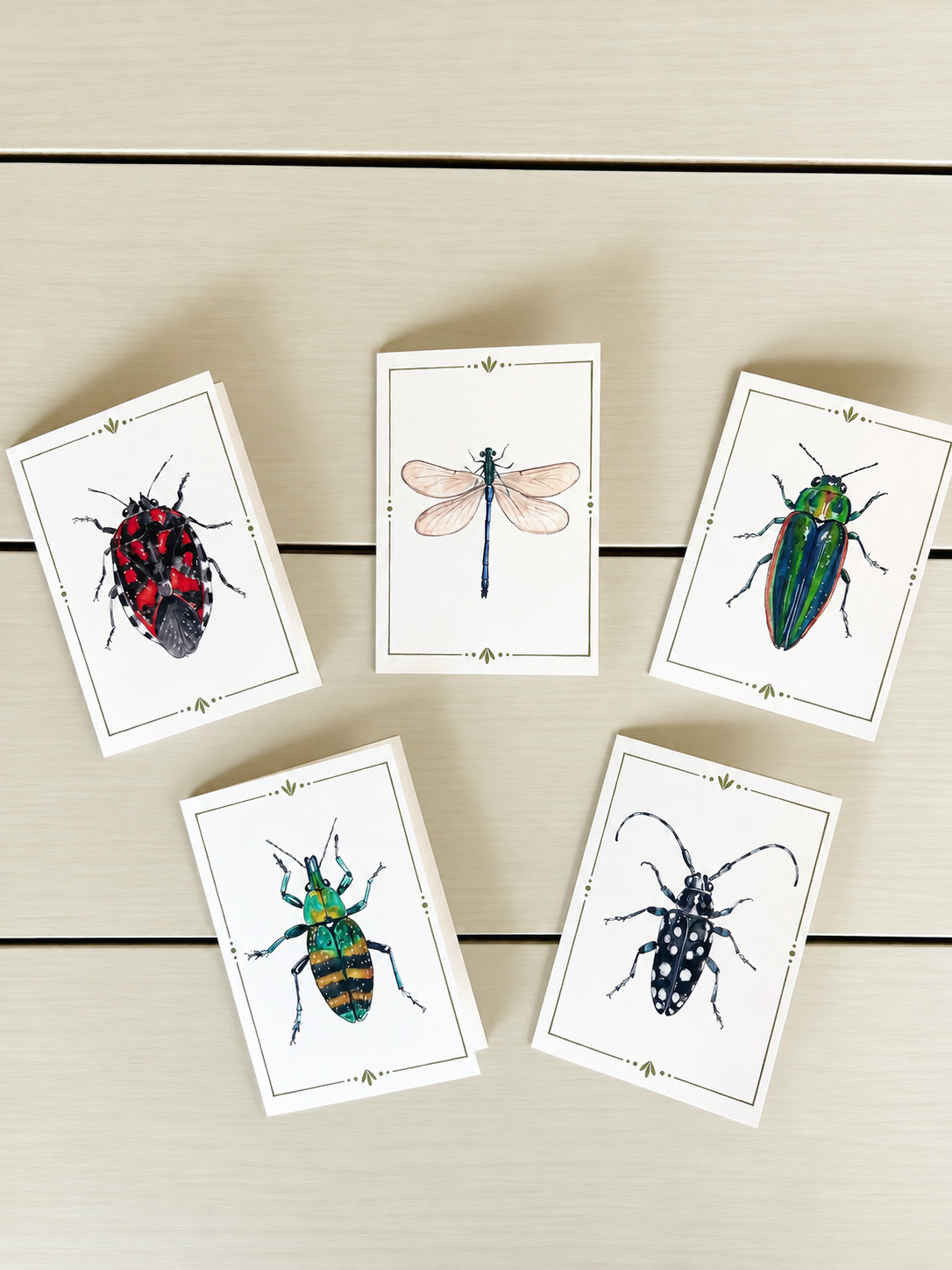 Five illustrated cards with different insect species arranged on a light-colored wooden surface.