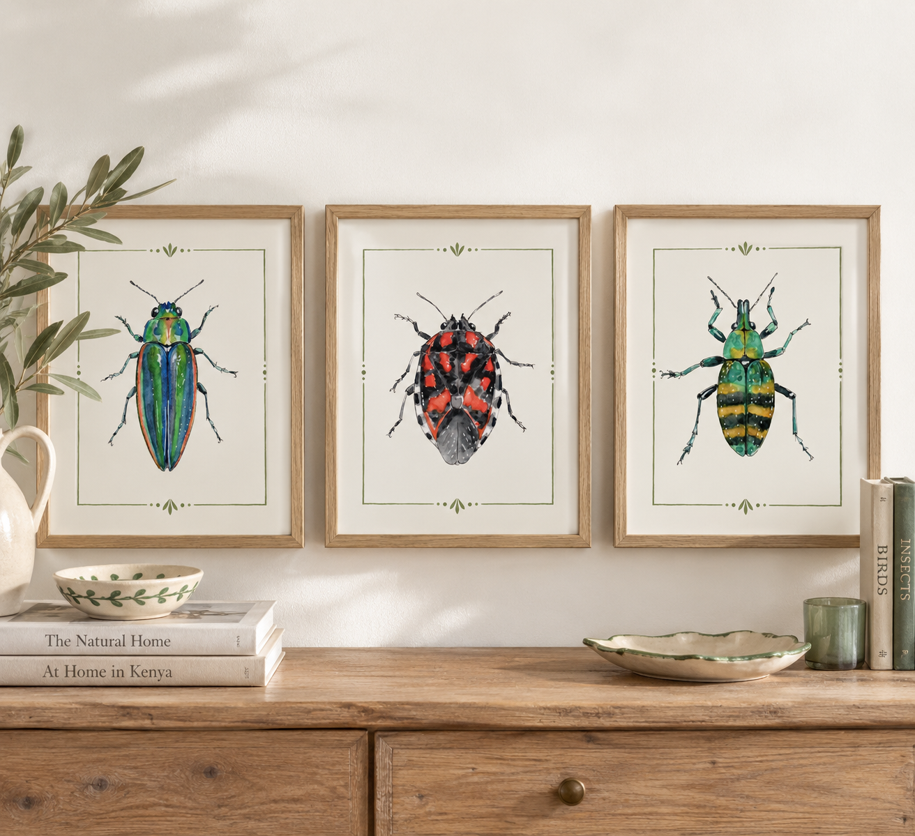Three framed illustrations of different beetles hanging on a white wall above a wooden sideboard, with decorative books, bowls, and a vase on the sideboard, and a leafy plant partially visible on the left.