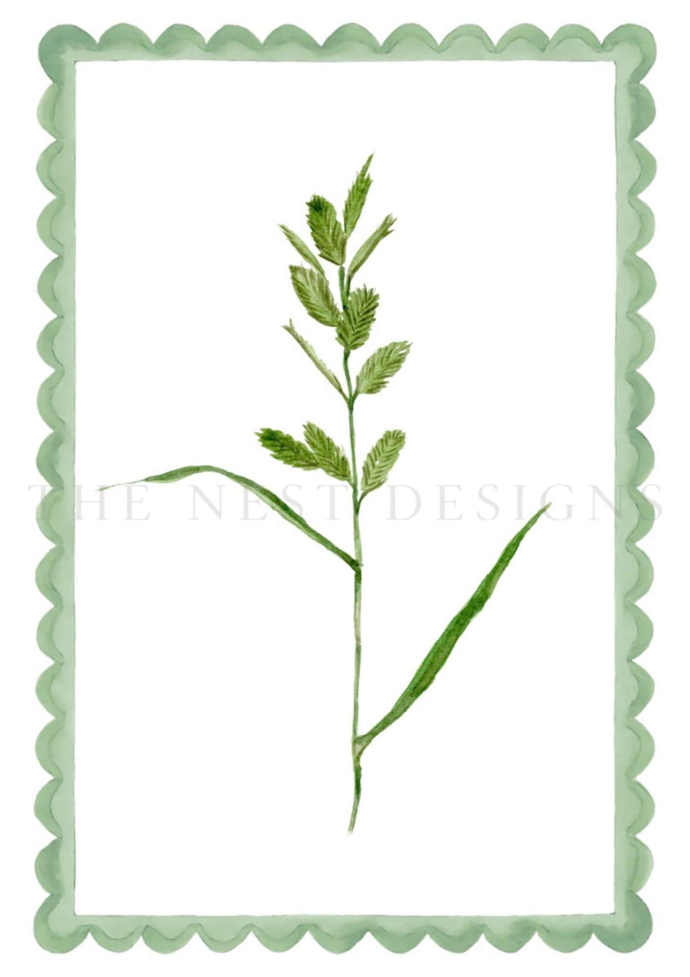 Watercolor illustration of a green plant with small leaves, framed by a scalloped green border.