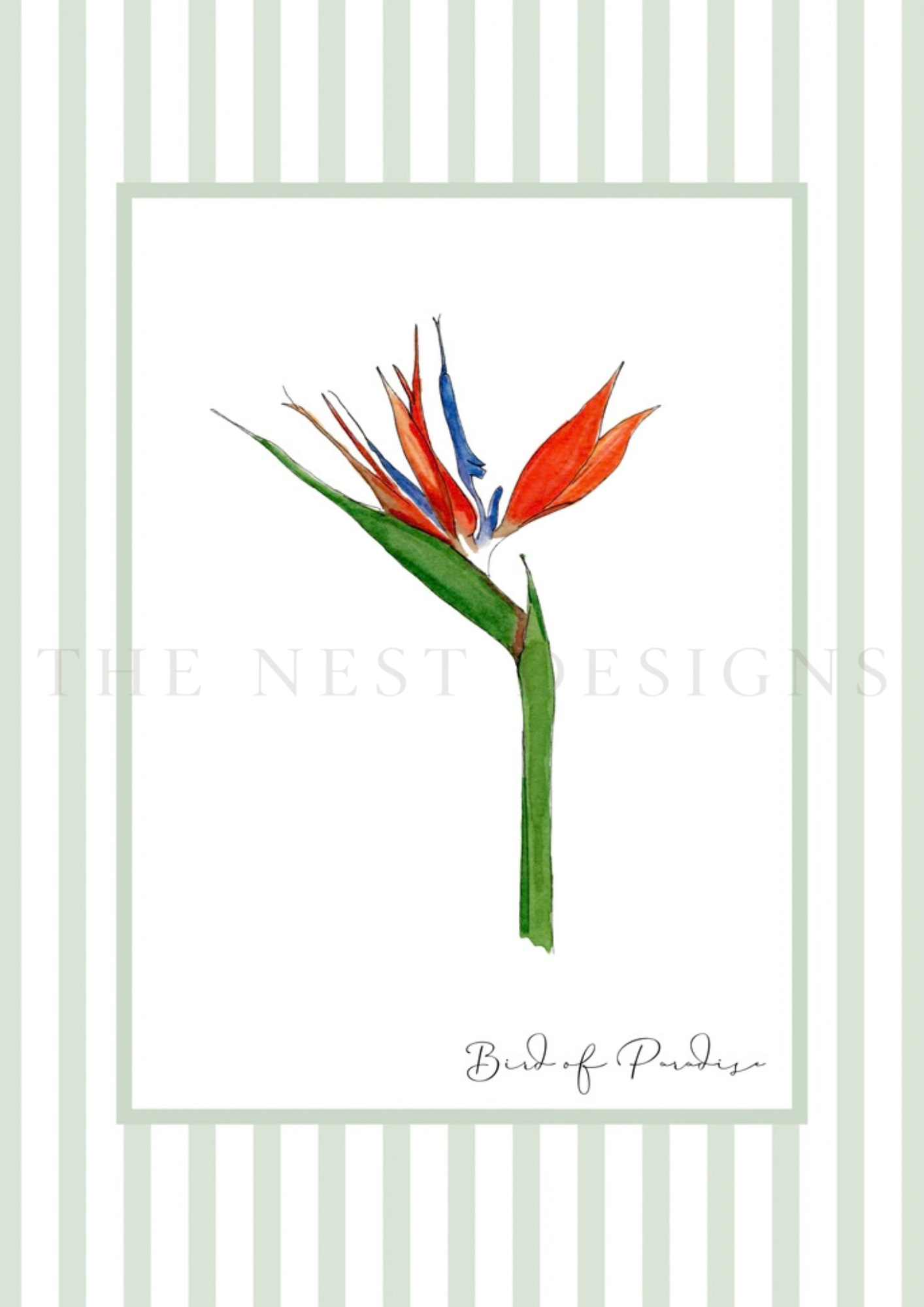 A watercolored illustration of a Bird of Paradise flower on a striped background with the text 'Bird of Paradise' at the bottom.
