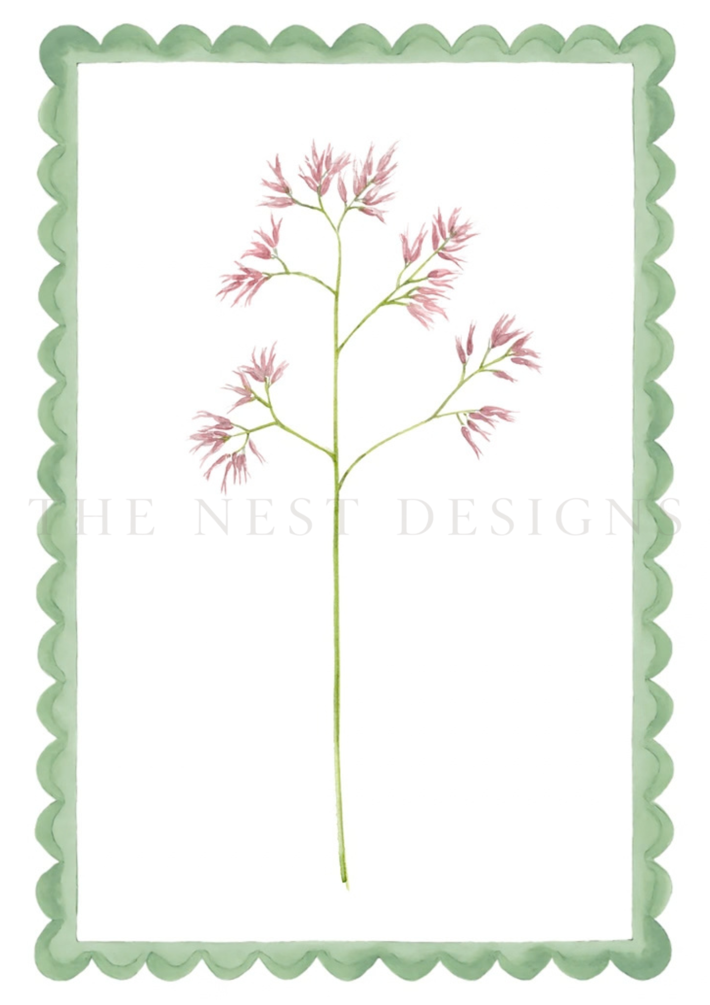 Watercolor illustration of a pink flowering plant with green stems, framed by a scalloped green border.