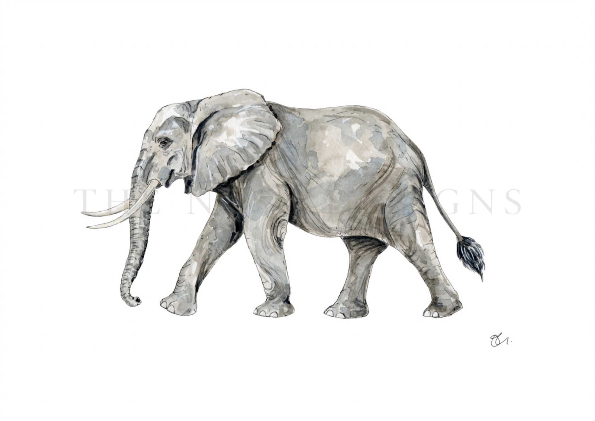 Watercolor painting of a grey elephant standing on a white background.
