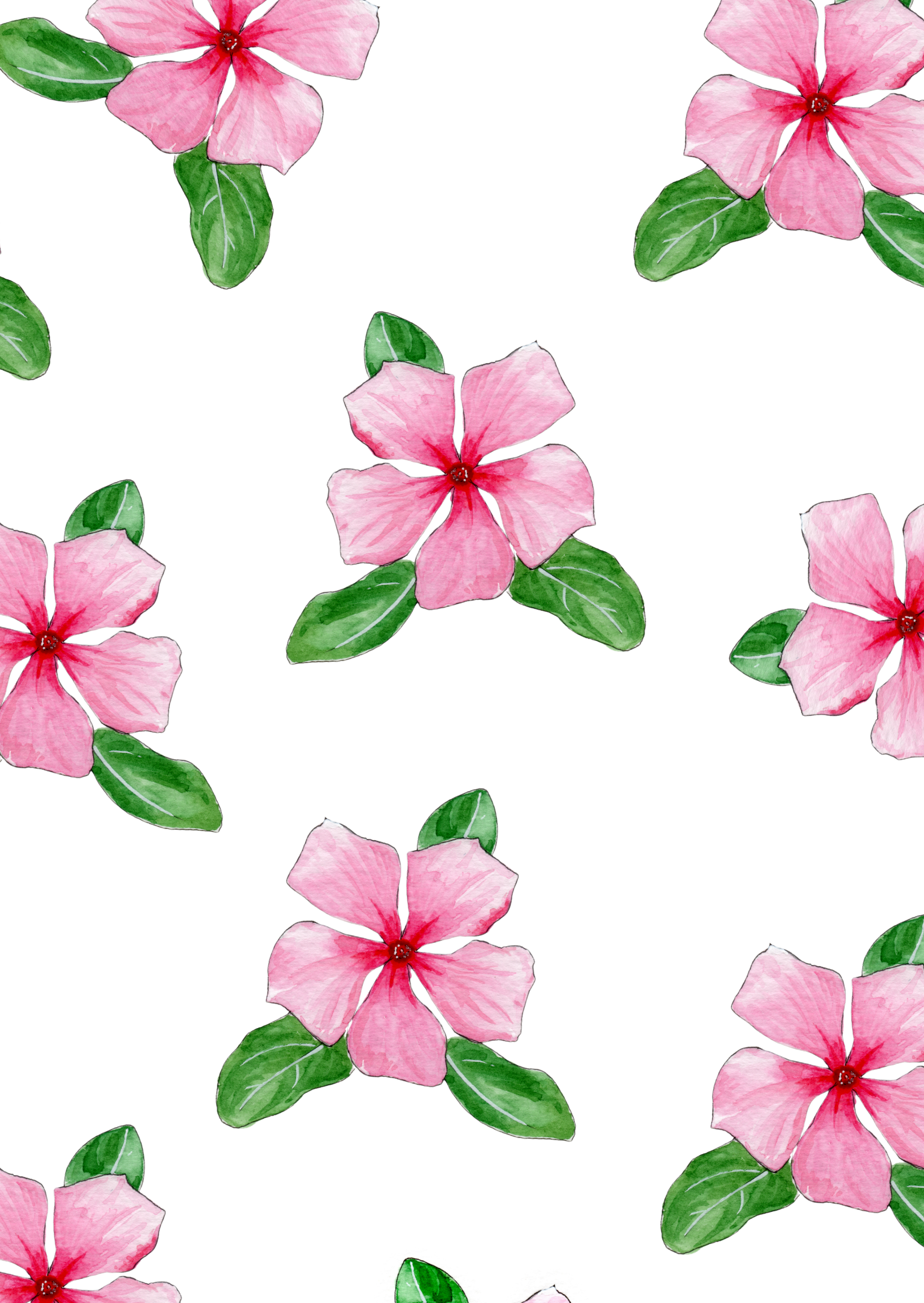 Pattern of pink flowers with green leaves on a white background.
