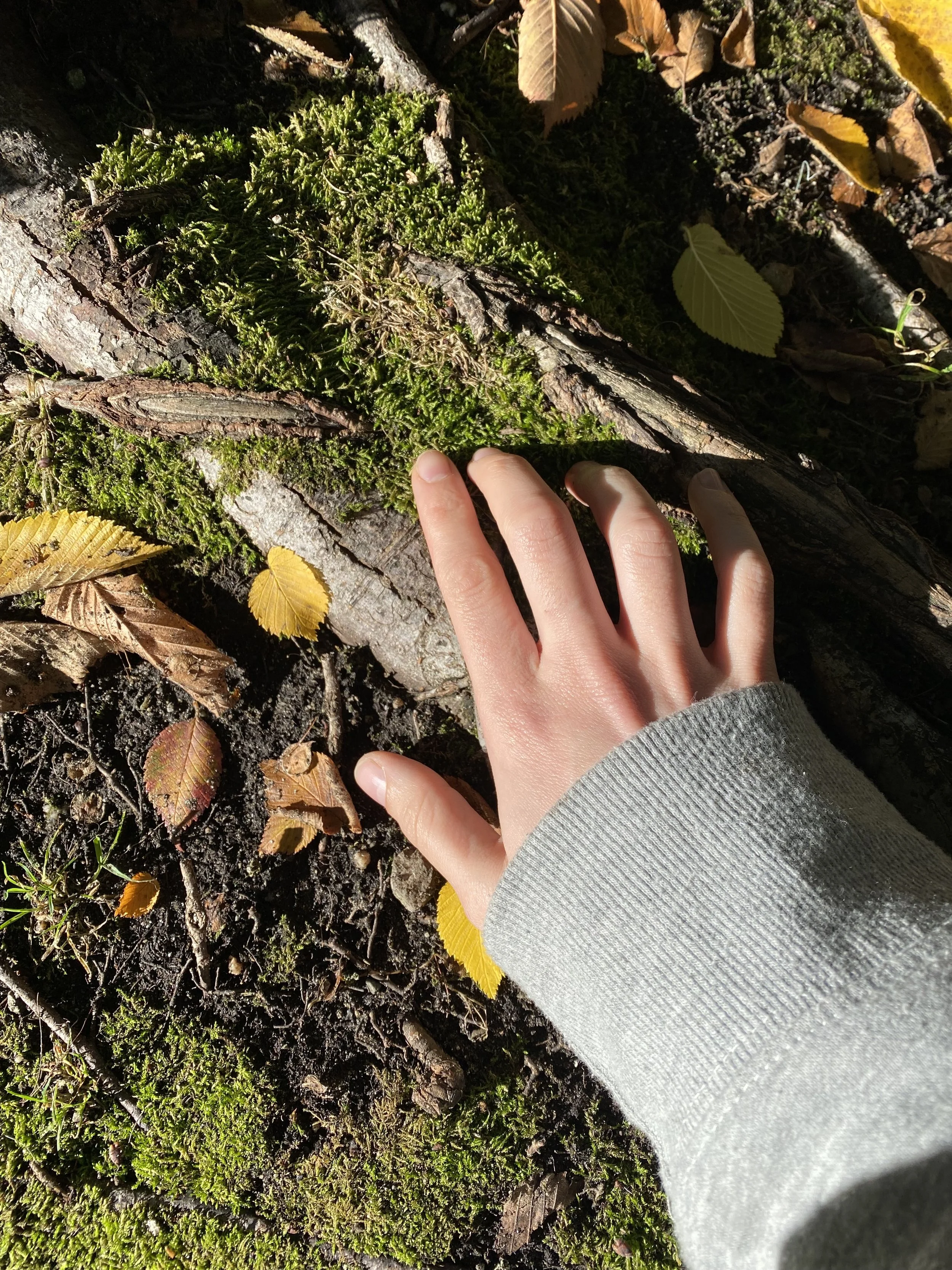 How it all started