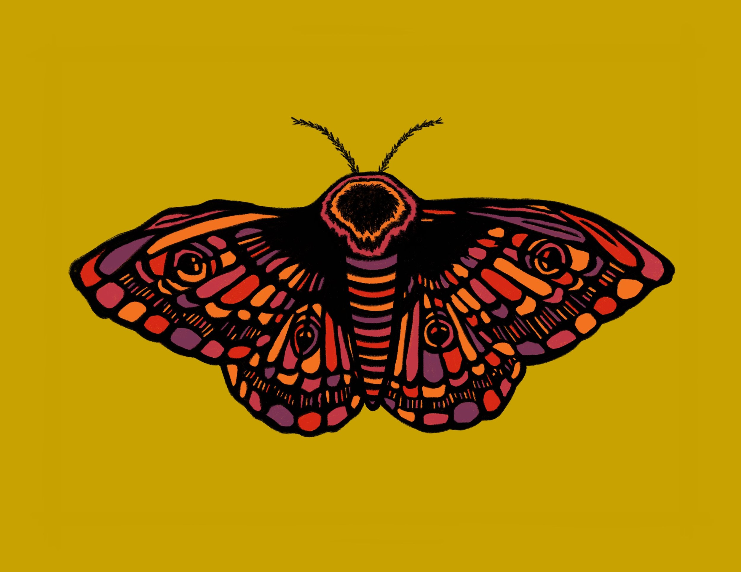 Untitled_Artwork (11).png