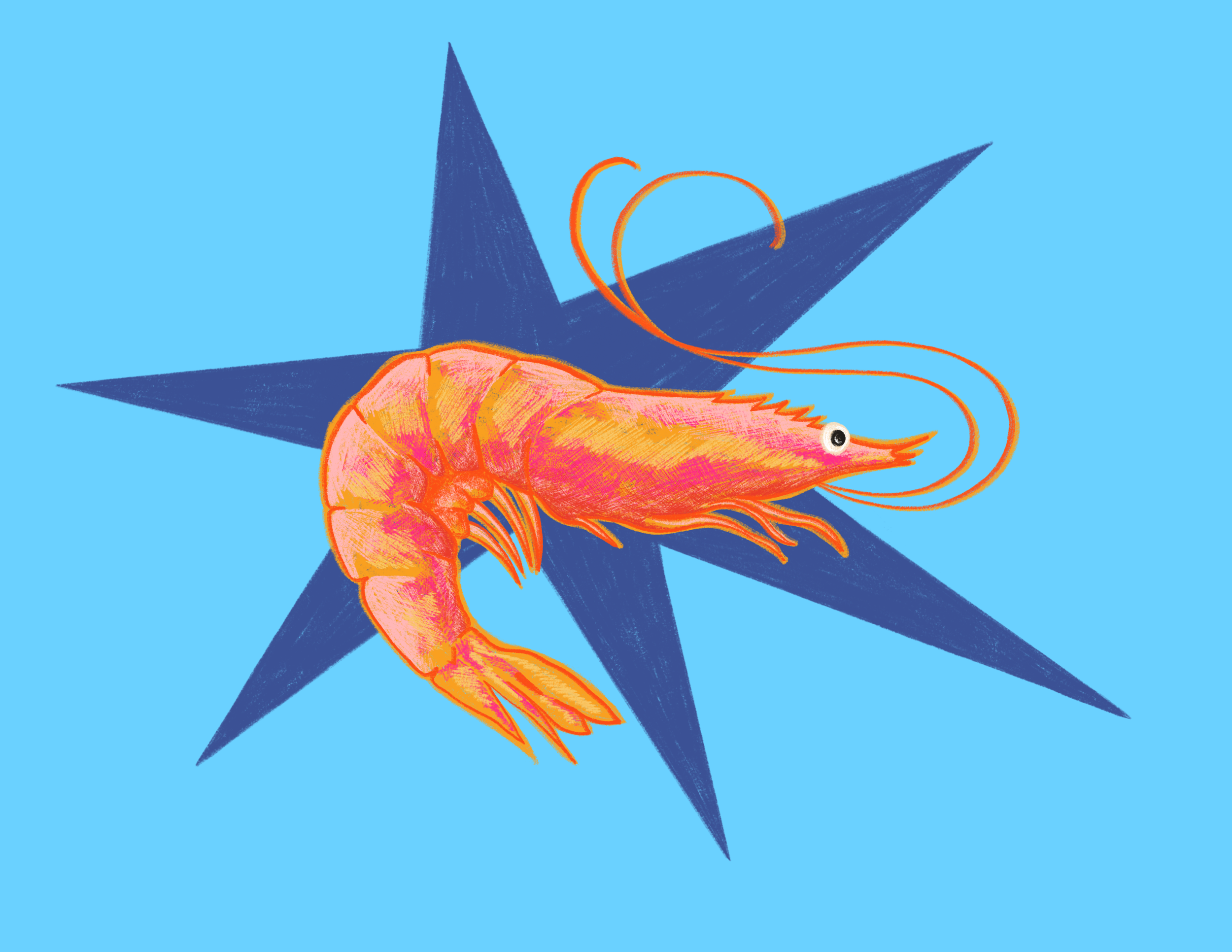 Untitled_Artwork (91).png