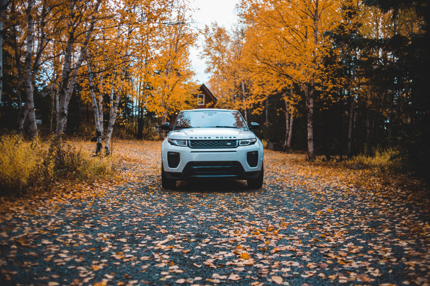 Leaf Season Maybe Pretty But Not So Pretty To Your Vehicle