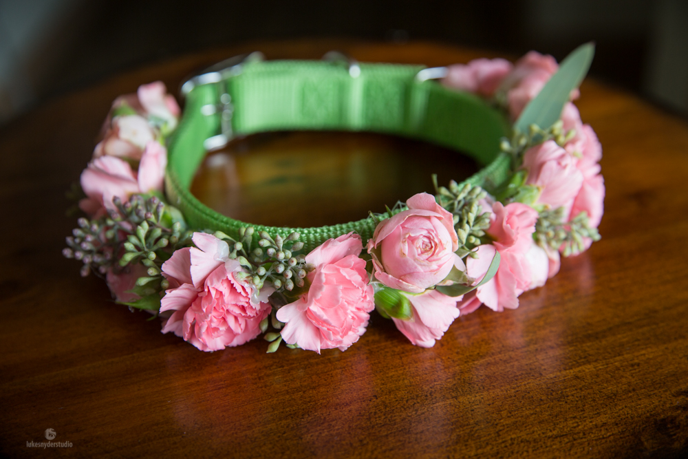 Compass Rose Garden Wedding of Ping and David-52.jpg