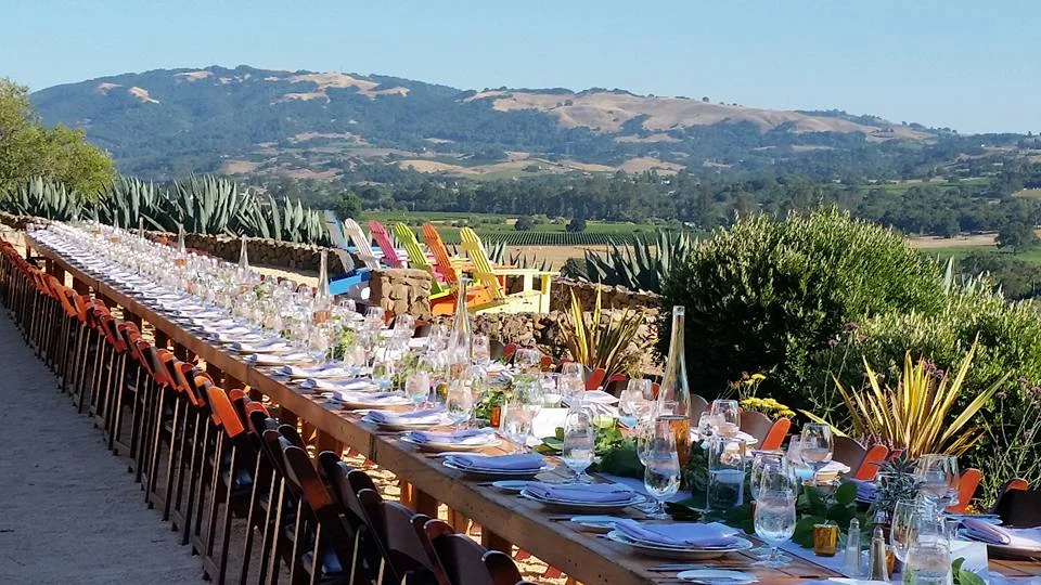 Long outdoor wedding reception table for 100 guests overlooking Sonoma Wine Country.