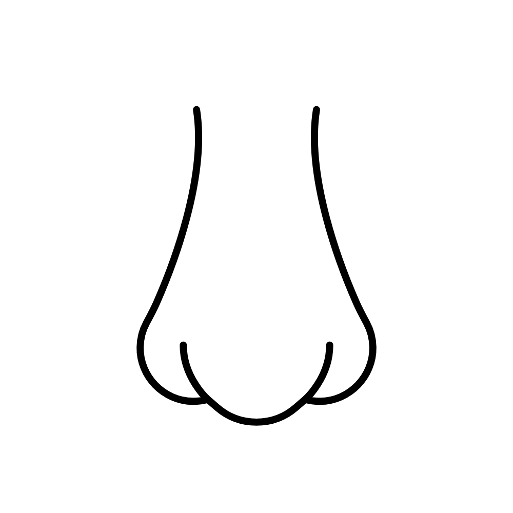 Black and white illustration of a nose