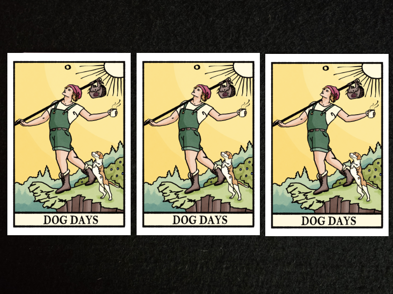 Dog Days Blend weekly subscription, this is three tarot cards showing the blend name repeated to demonstrate a high volume of deliveries
