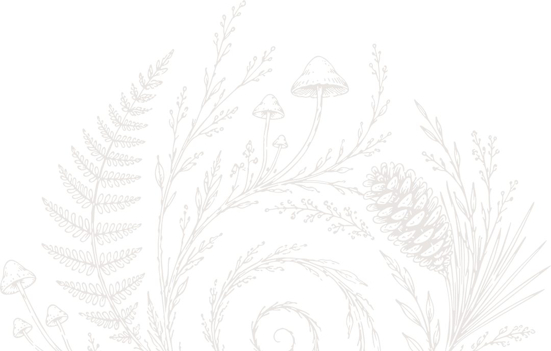 Lynne Herbert spiral logo