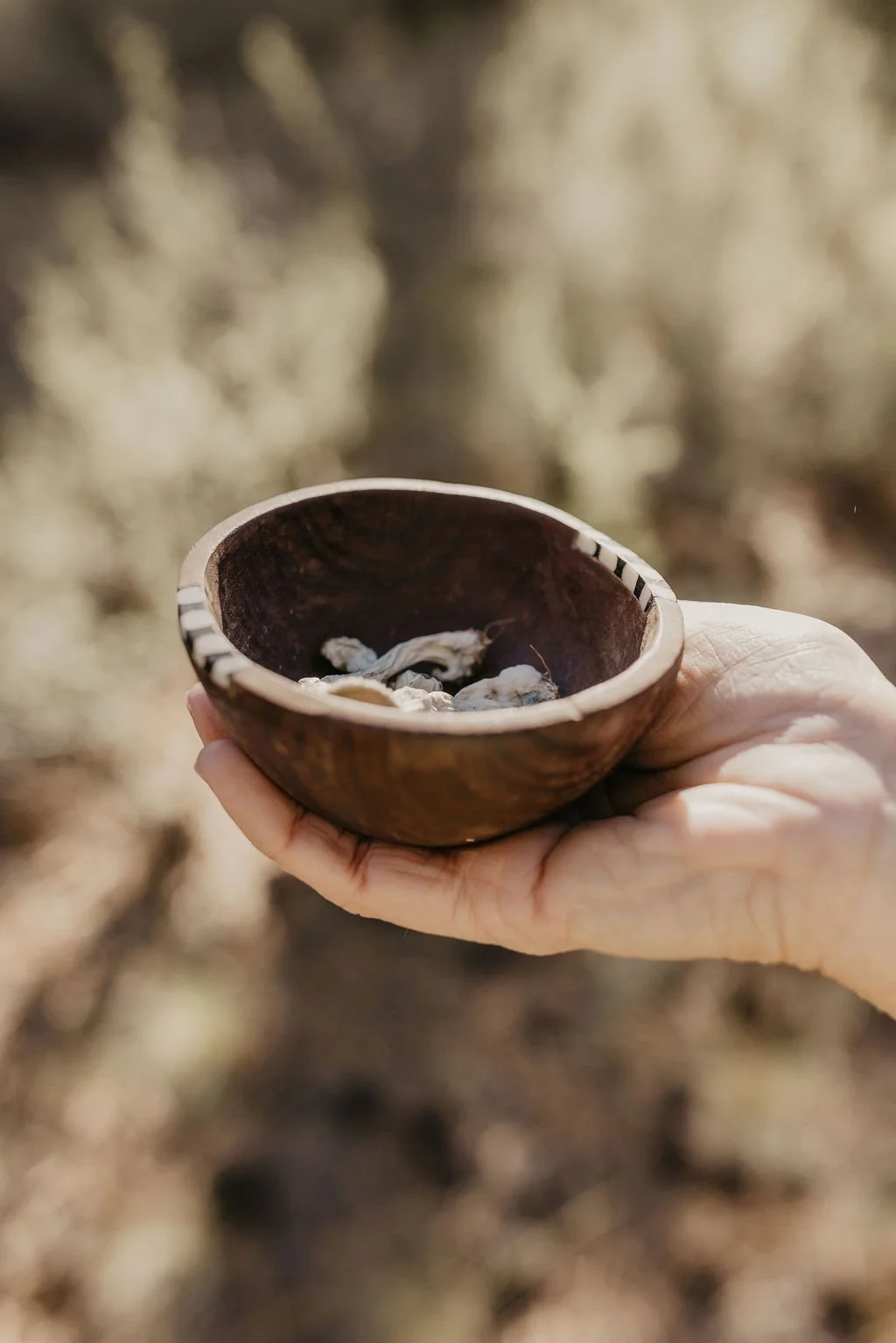 Bowl of Psilocybin Mushrooms