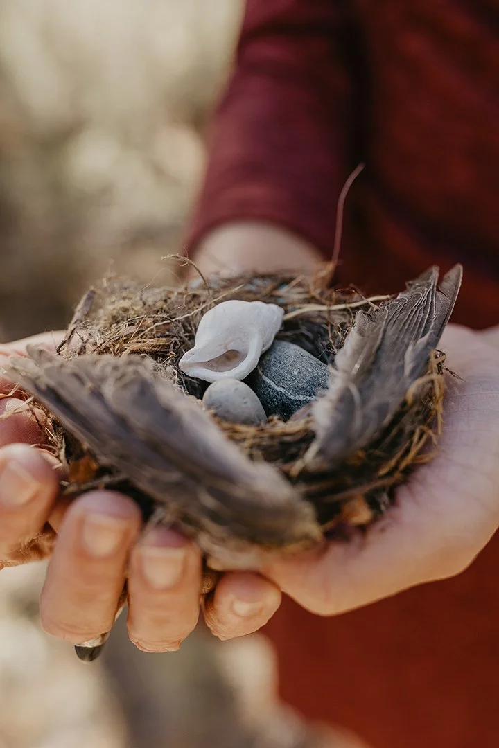 Holding a nest with shells and rocks